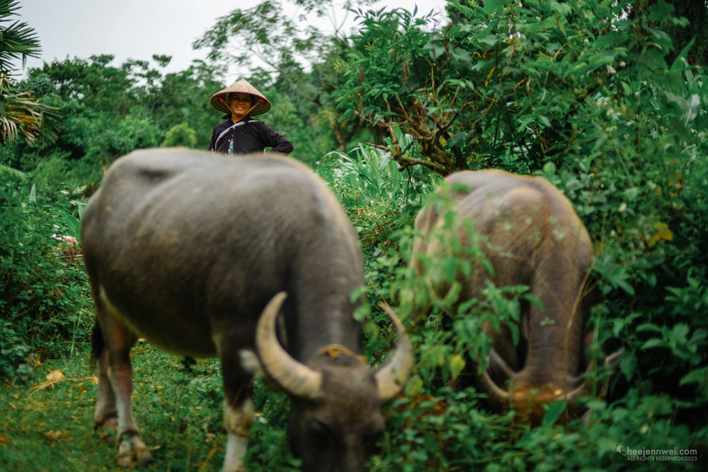 Ha Giang-4.JPG