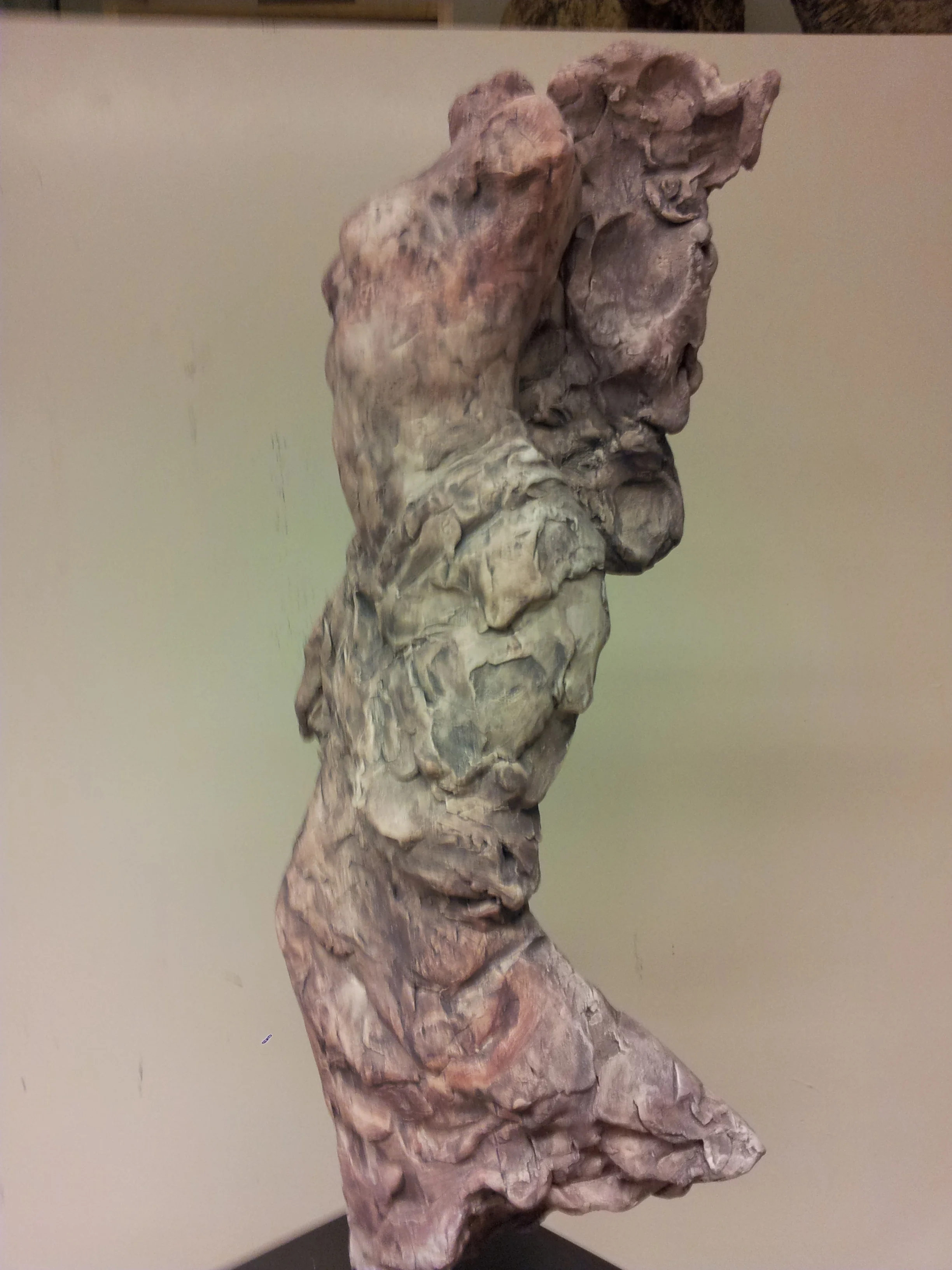 20140406_200035.jpg
