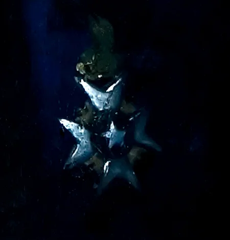 Order of the Polar Star | After removing an area of repainting, a special insignia, the Order of the Polar Star (Nordstjärneordern), appeared on Swedenborg’s chest.