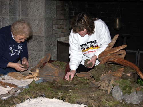 This year, moss for both the Morris family’s “putz” and the Pitcairn family’s “representation” was gathered in the woods near Glencairn. 