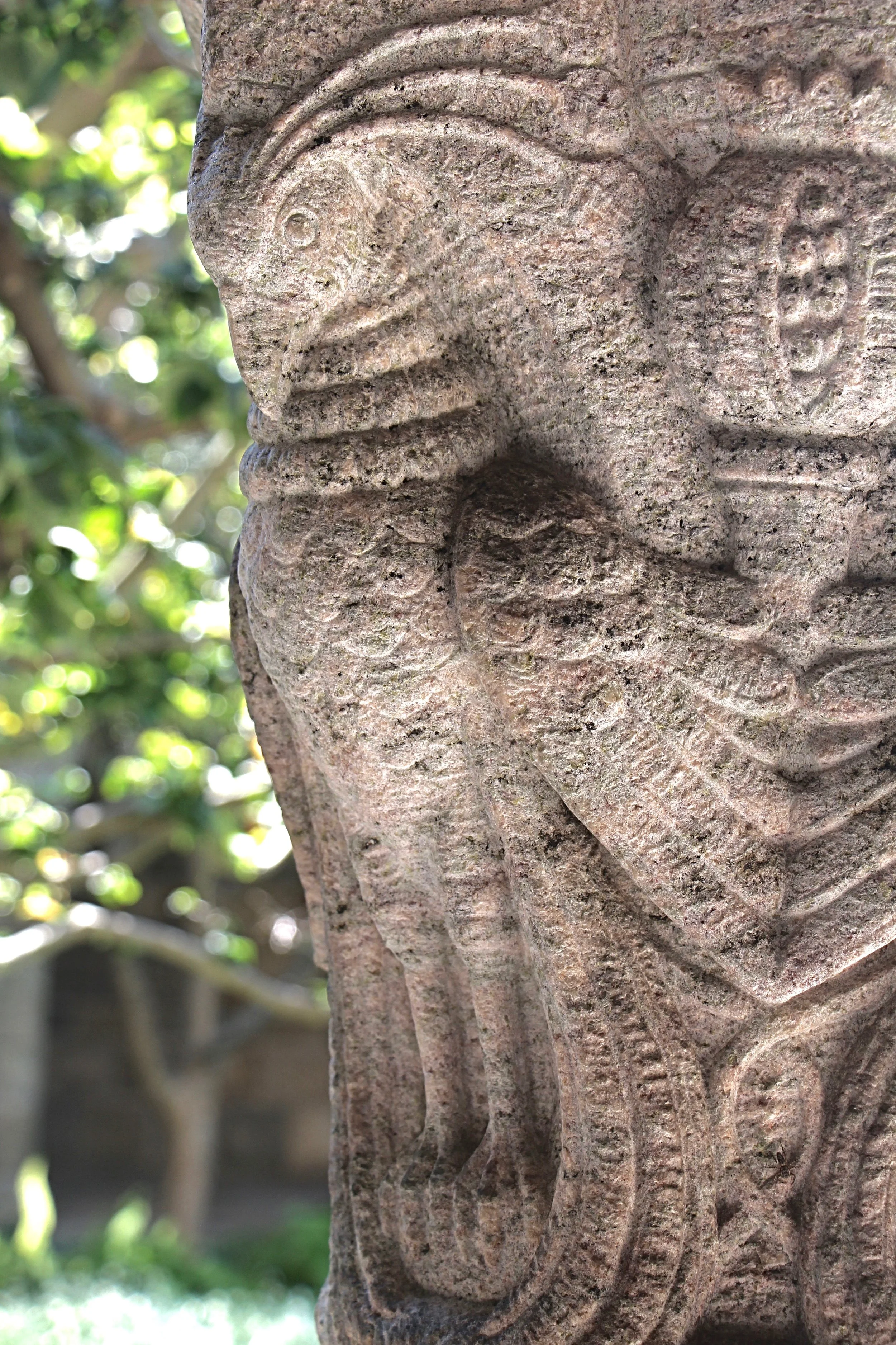 Figure 14: Cloister capital, east side: bird of paradise.
