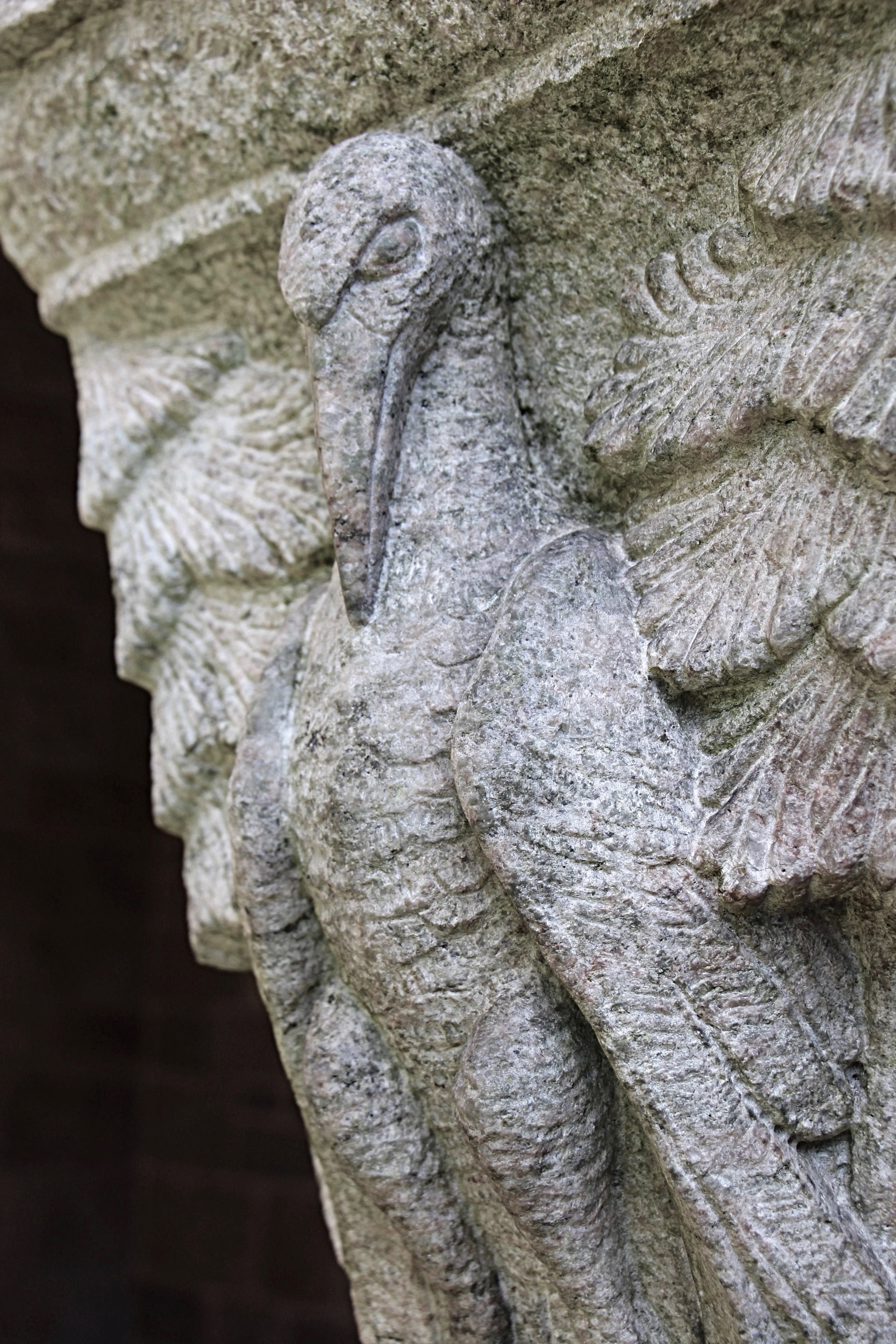 Figure 15: Cloister capital, south side: stork.