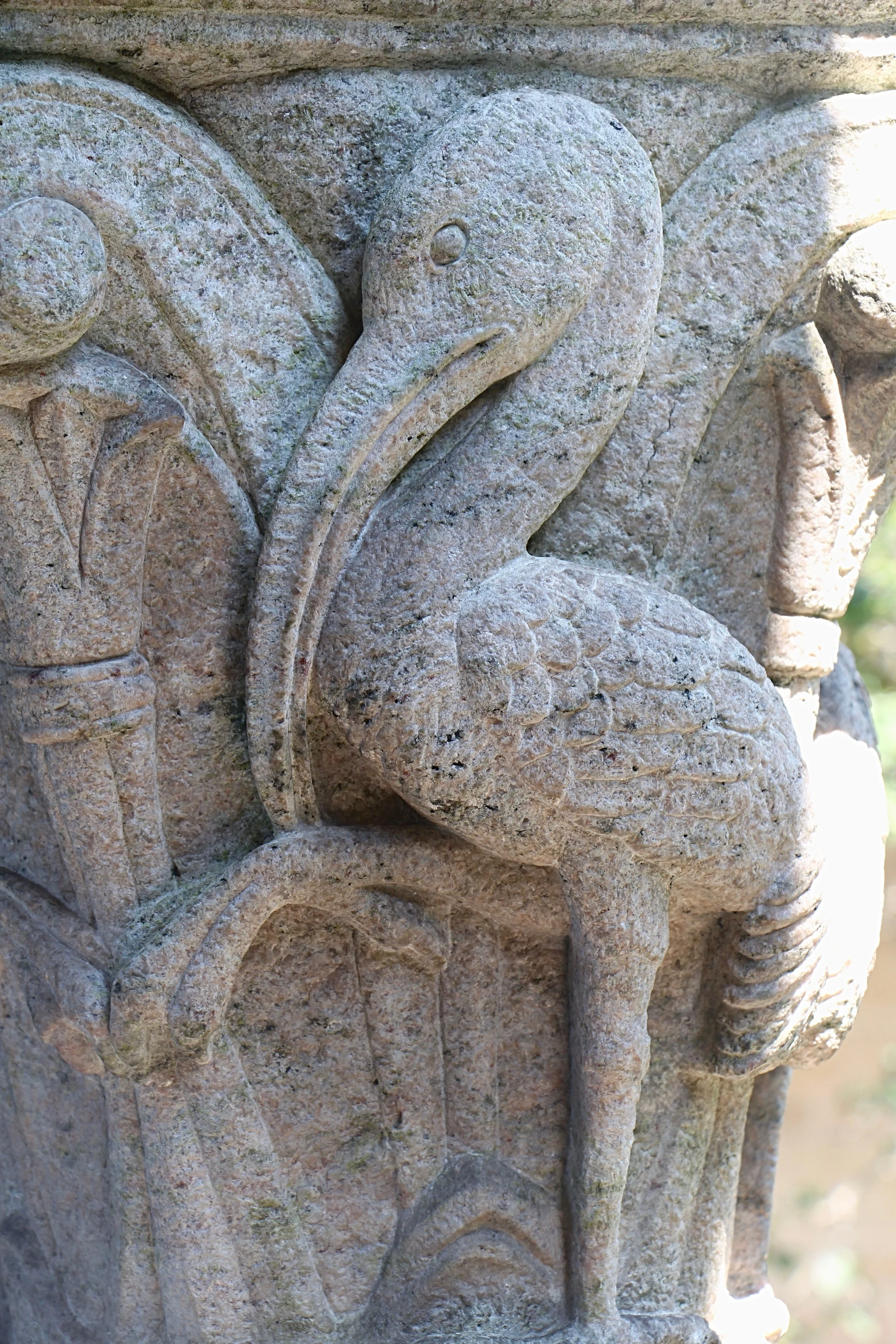 Figure 22: Cloister capital, north side: ibis.