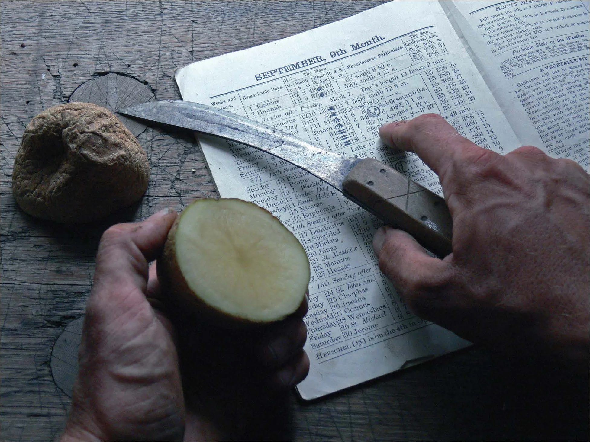 Figure 2: Removing warts by the light of the waxing moon with a potato is one of the most common powwow experiences in southeastern Pennsylvania. Courtesy of Patrick J. Donmoyer.