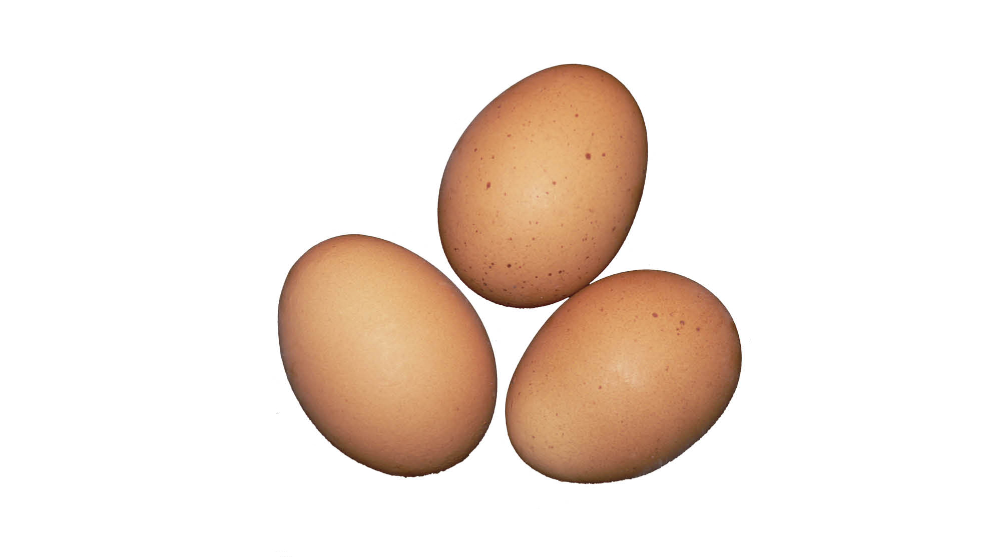 Figure 29: Eggs laid on Good Friday were once thought to be blessed, and were concealed in the home for protection, as well as used for the removal of illness. Pennsylvania German Cultural Heritage Center, Kutztown University.