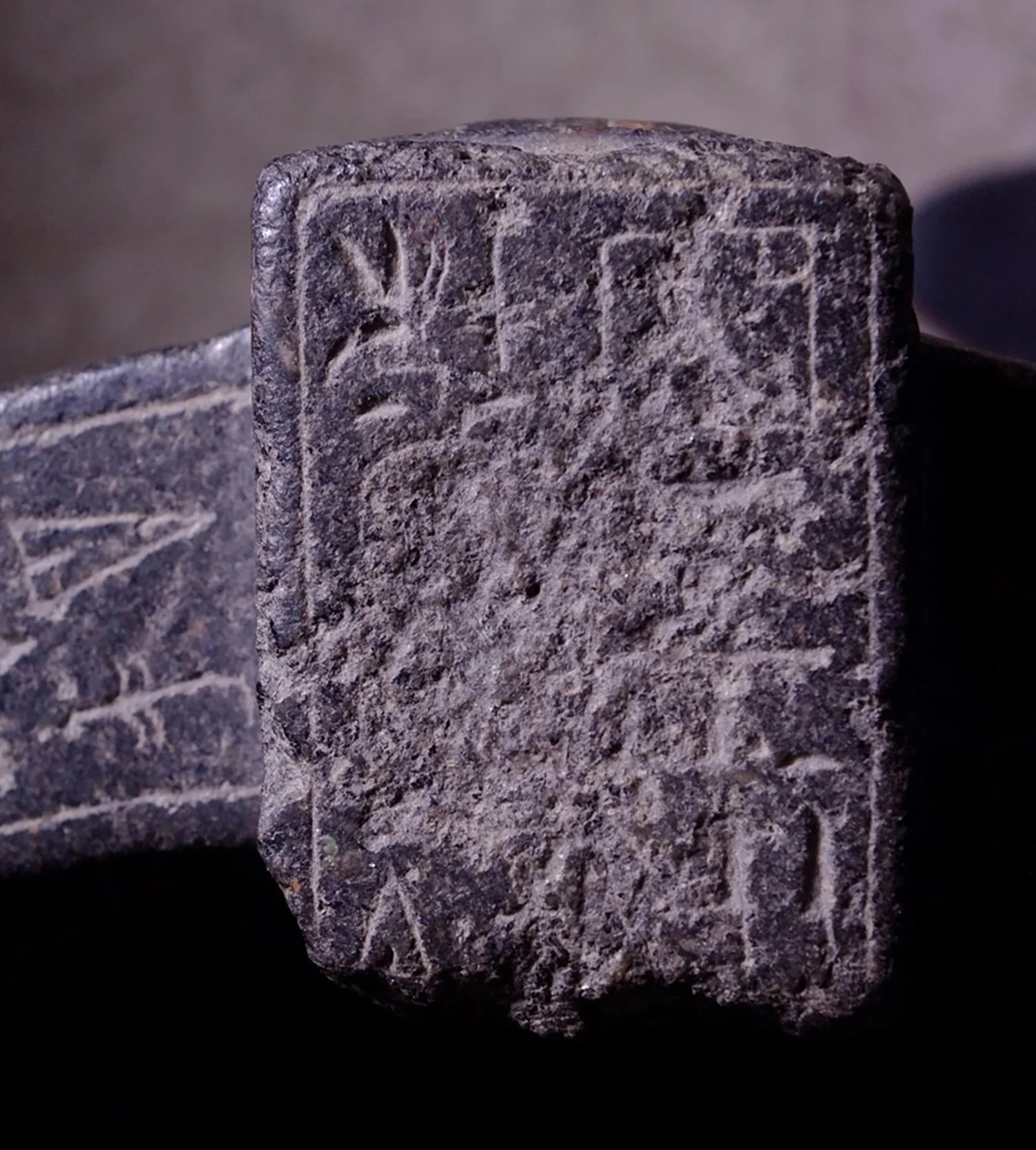 Figure 25: A view of the rectangular raised portion of the rim with a short hieroglyphic inscription. One can see the areas of damage near the oval-shaped cartouche on the left.