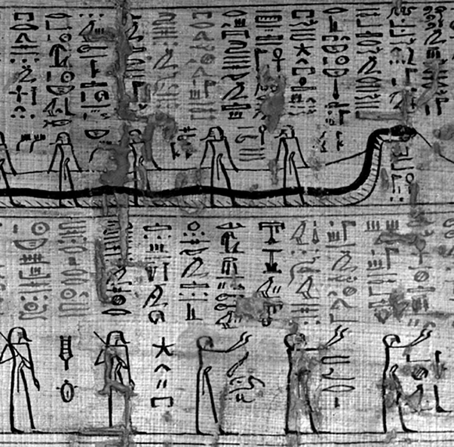 Figure 5: A portion of the twelfth hour of the Amduat, from a papyrus in the collection of the Egyptian Museum of Turin (accession no. 1776). Photograph © Fondazione Museo Antichità Egizie di Torino—used with permission.