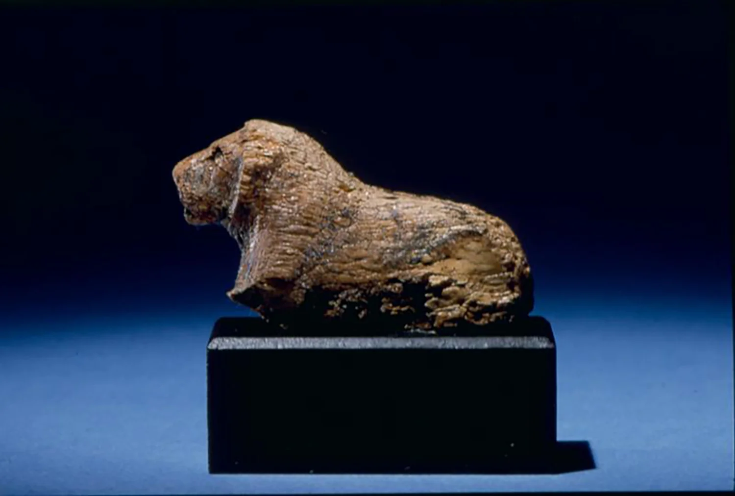 Figure 20: Ivory game piece in the form of a lion from Abydos, Egypt, Dynasty 1 (3000-2800 BCE). Penn Museum E11522.