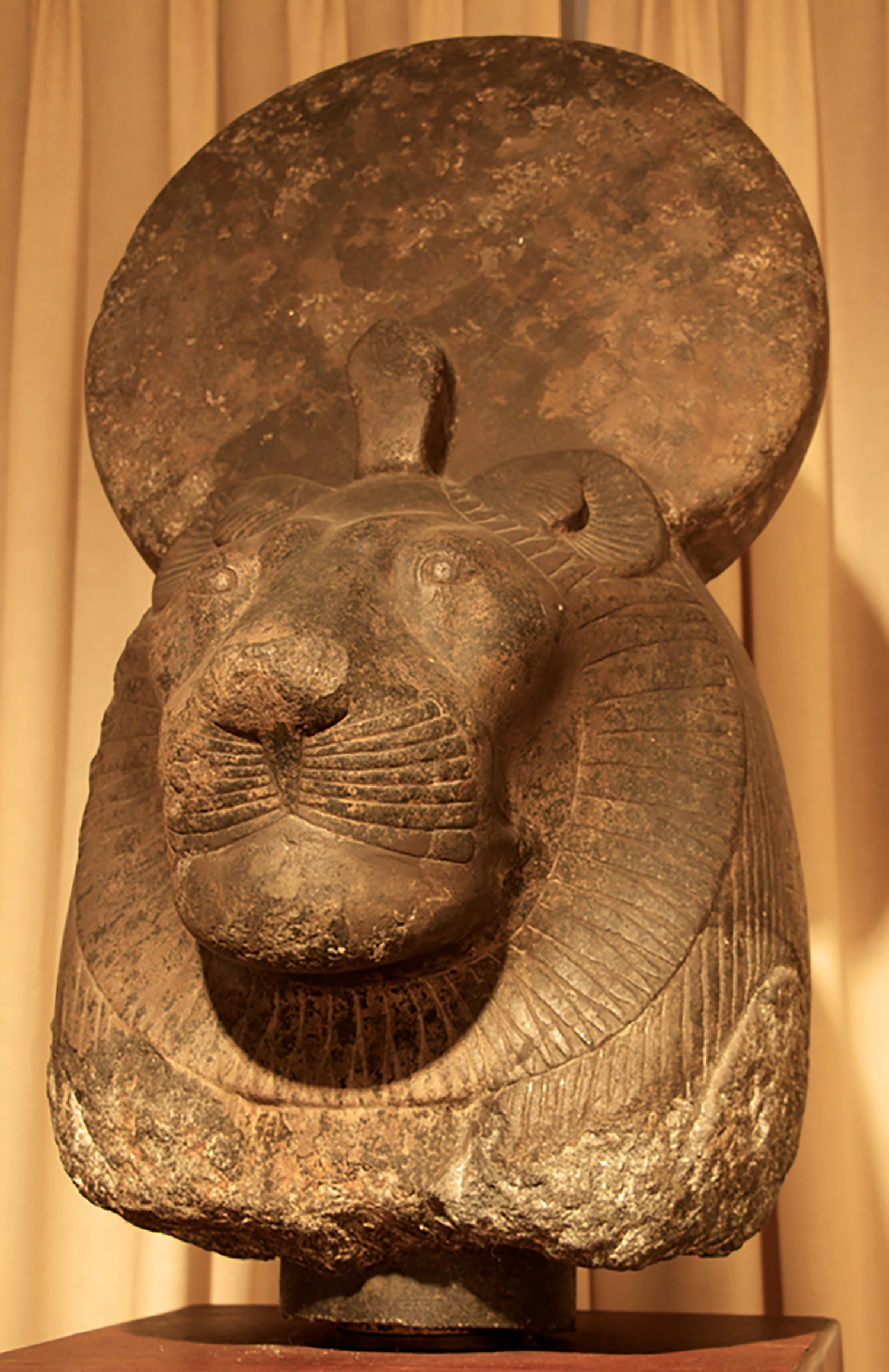 Figure 23: Head from a granite statue of the goddess Sekhmet, New Kingdom (ca. 1391 BCE–1353 BCE). Glencairn Museum E1157.