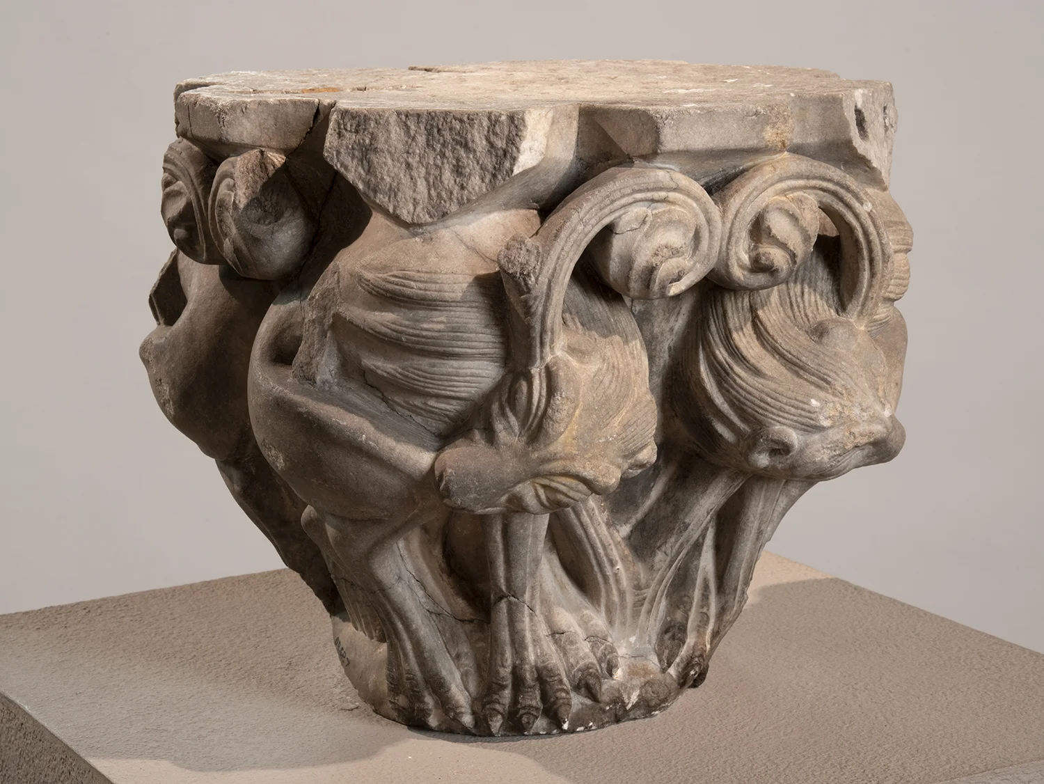 Figure 2: Twelfth-century lion capital from Glencairn Museum (09.SP.07).