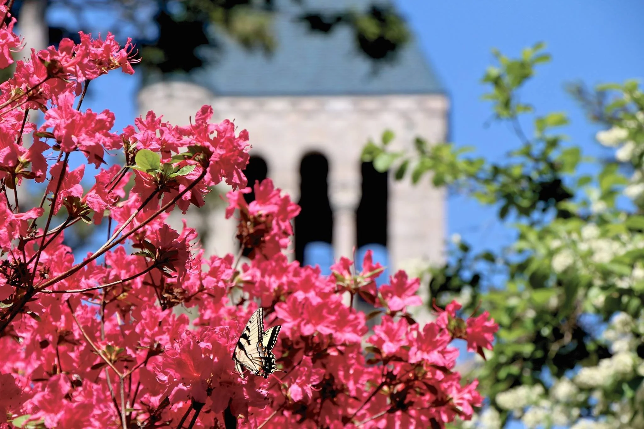 From Tower to Garden Tour.jpg