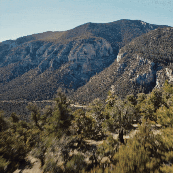 INDIAN MOTORCYCLE#"PowerPlus Family - The Power to Roam"