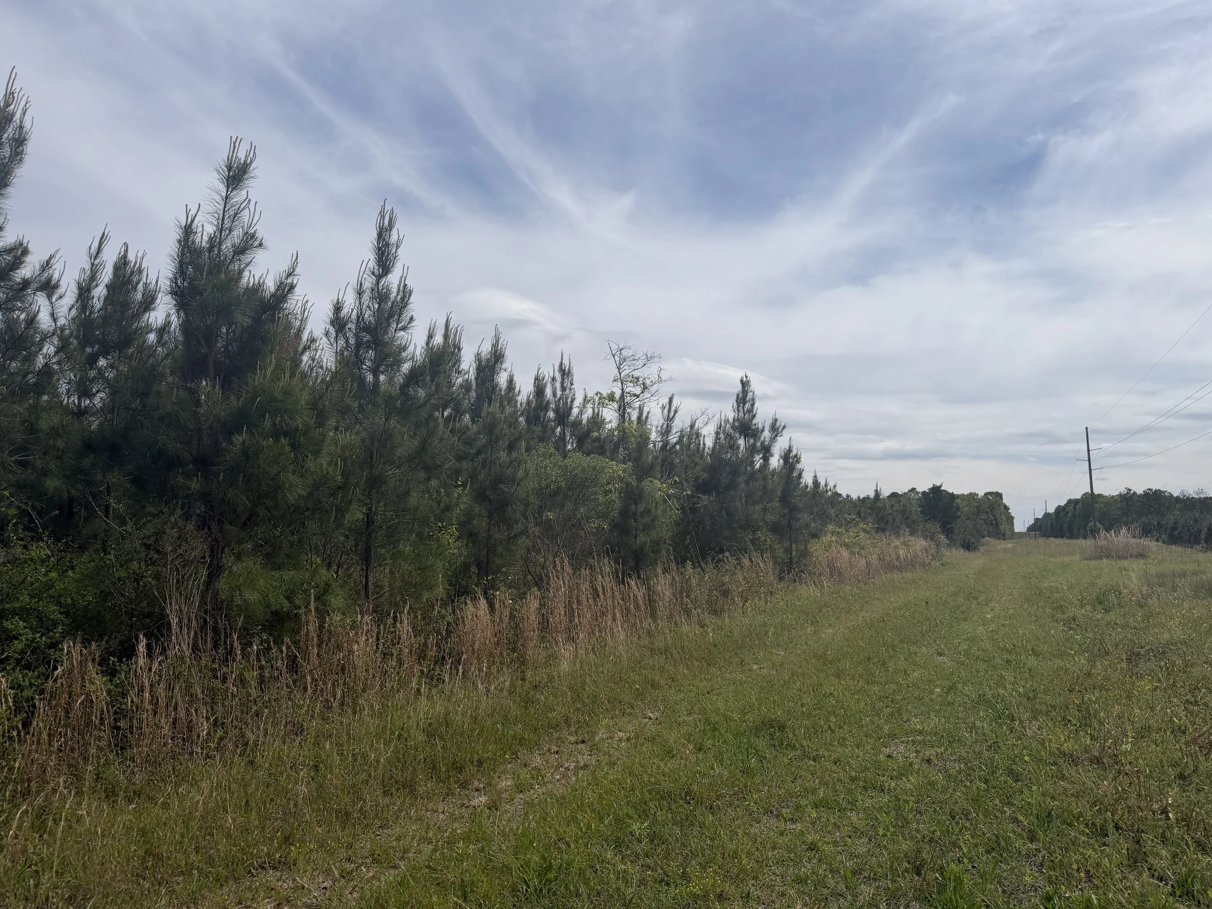 01 main IMG_0613.JPG