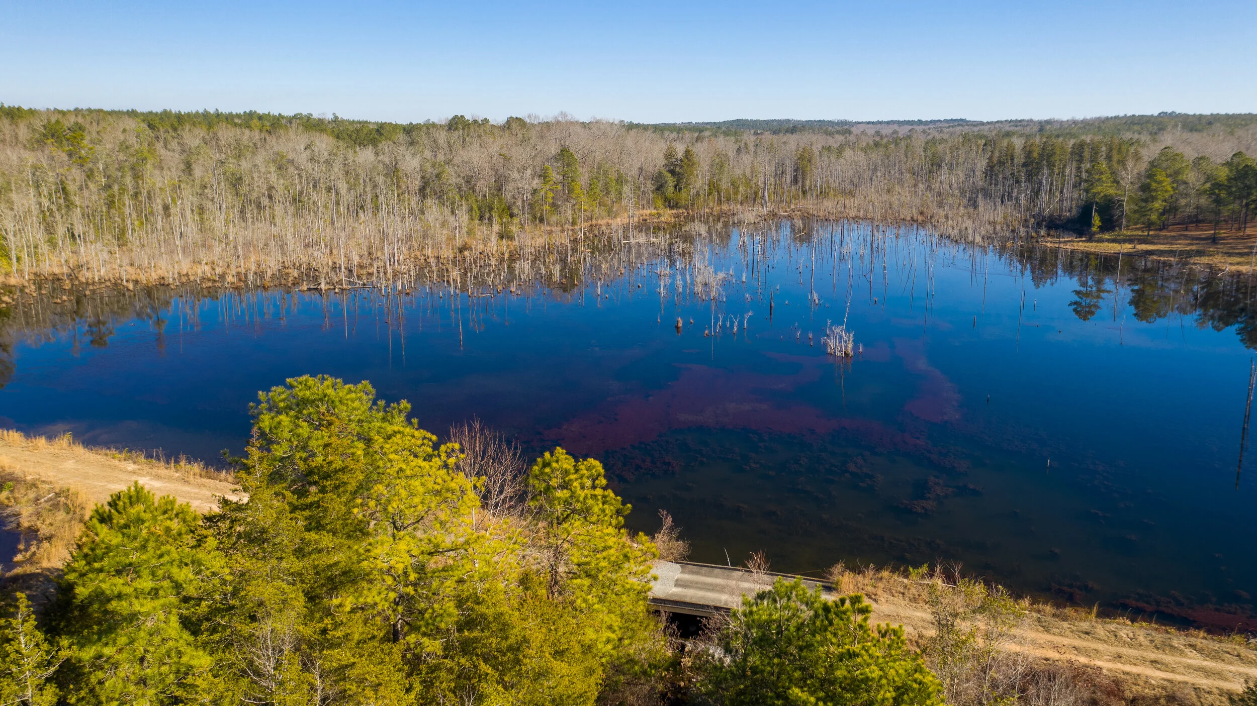 Rustins Pond Butler, GA-6.jpg