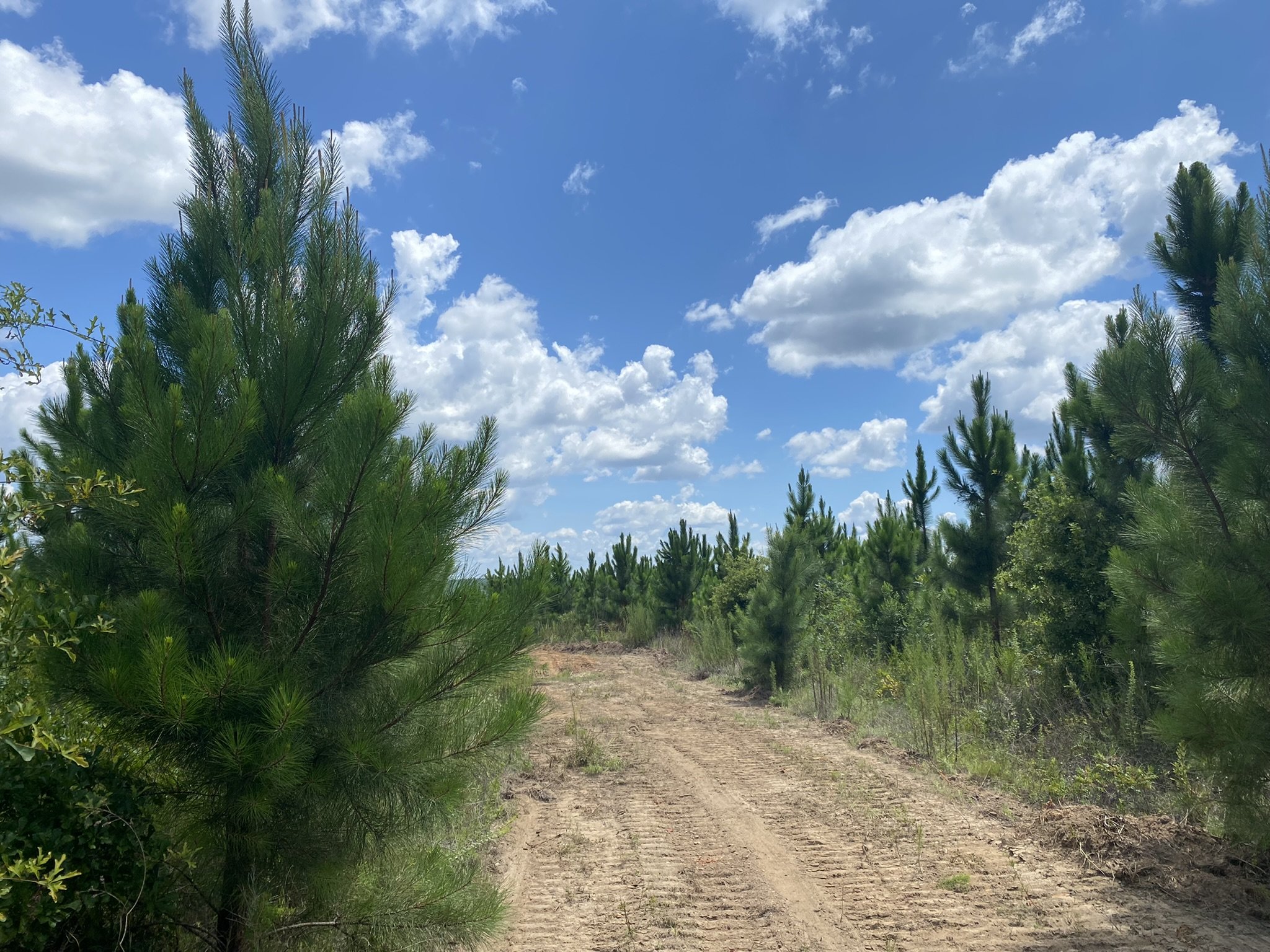 Henley Land Brokerage, LLC