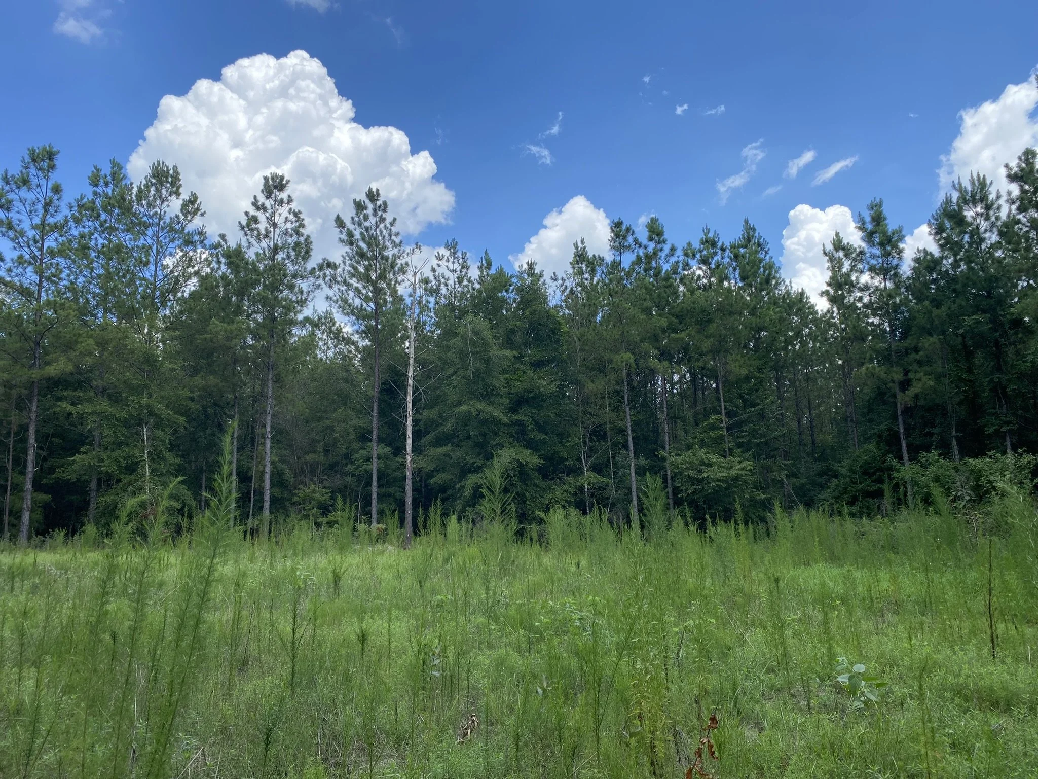 Henley Land Brokerage, LLC