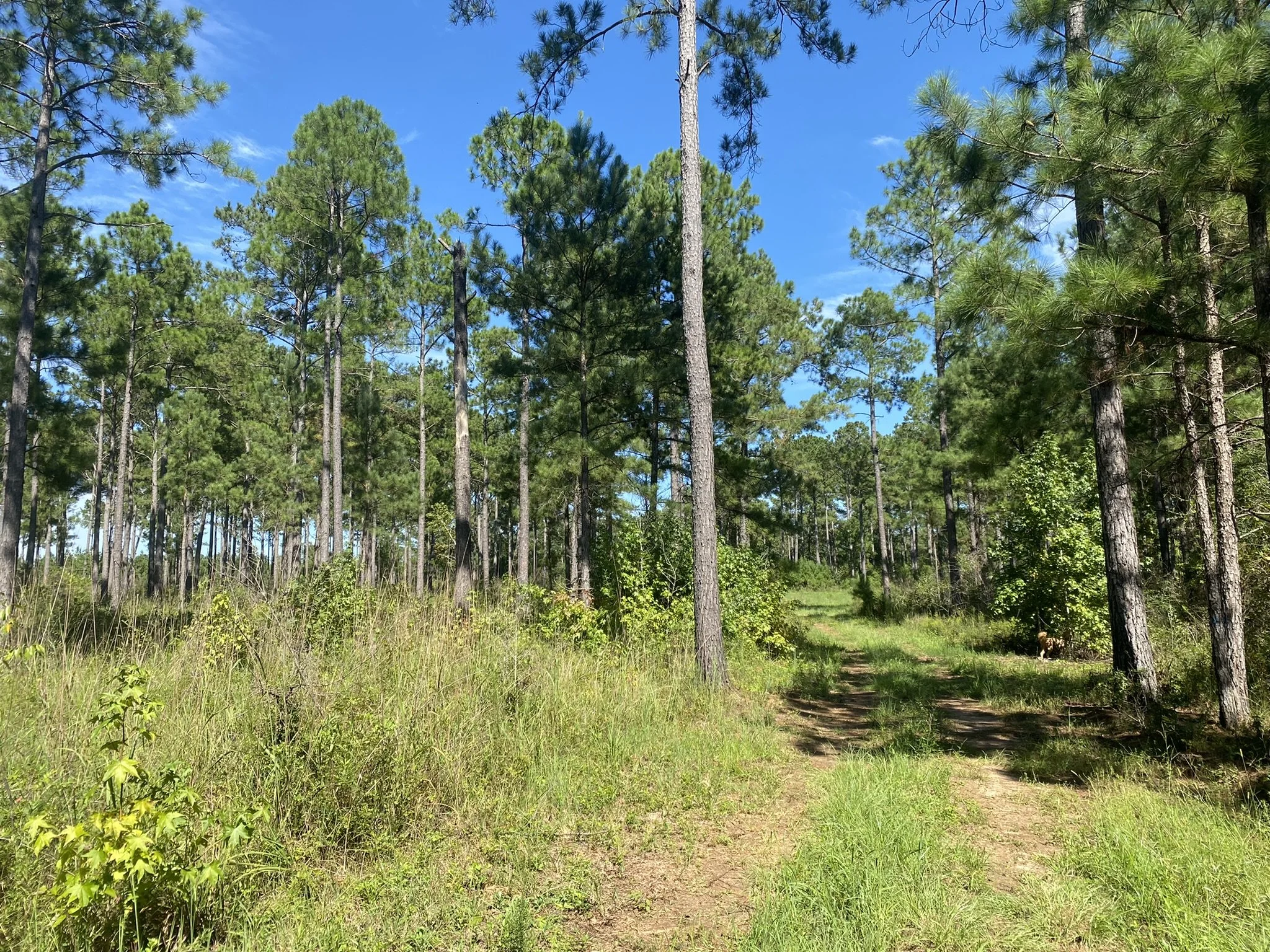 Henley Land Brokerage, LLC