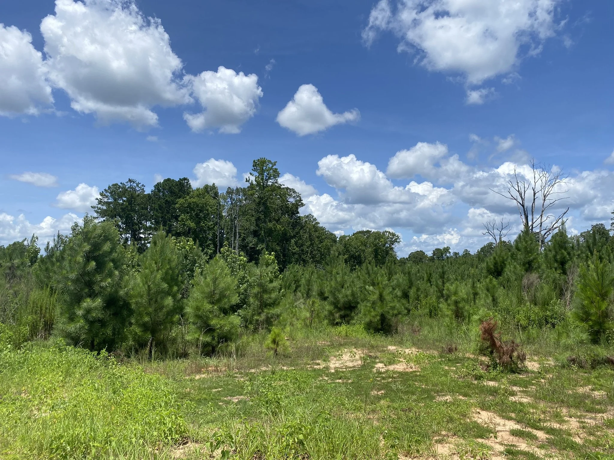 Henley Land Brokerage, LLC