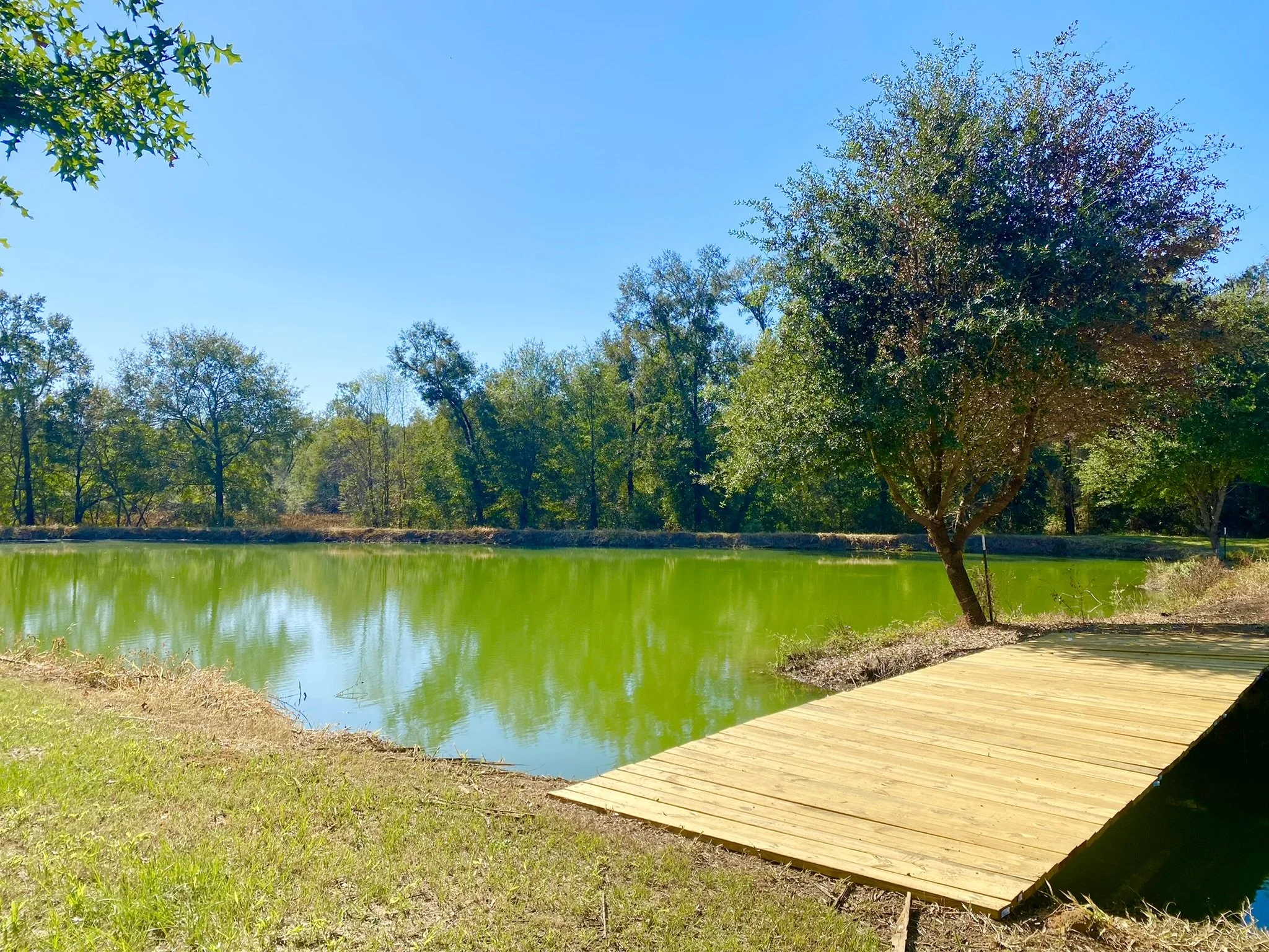 1 BR Pond Cabin For Rent — Henley Land Brokerage, LLC