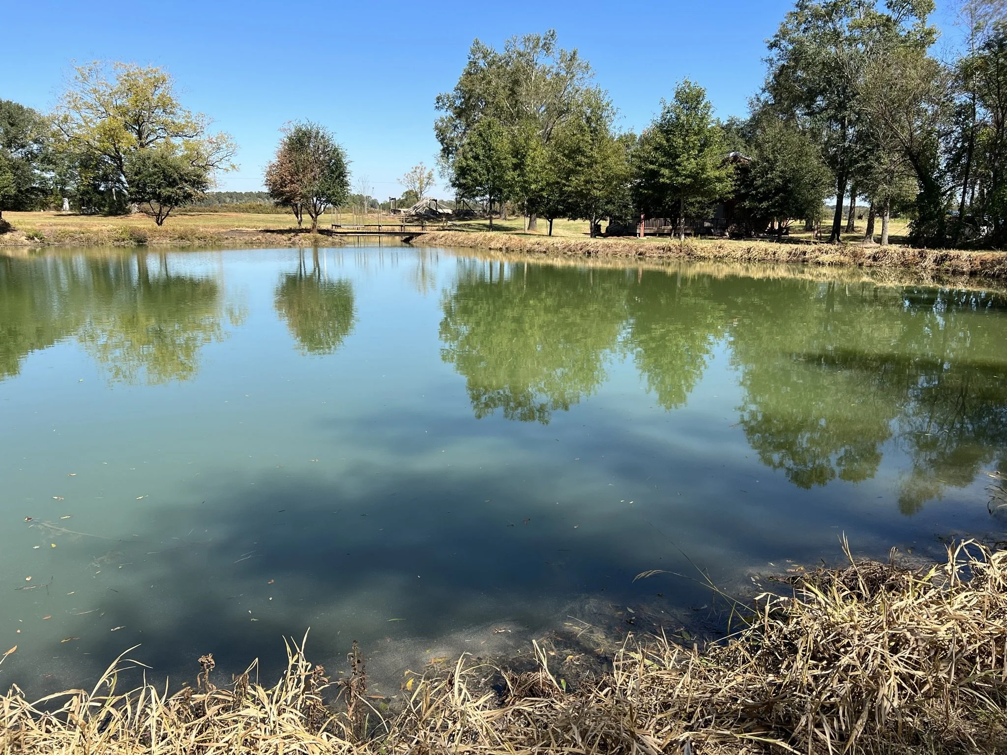 1 BR Pond Cabin For Rent — Henley Land Brokerage, LLC