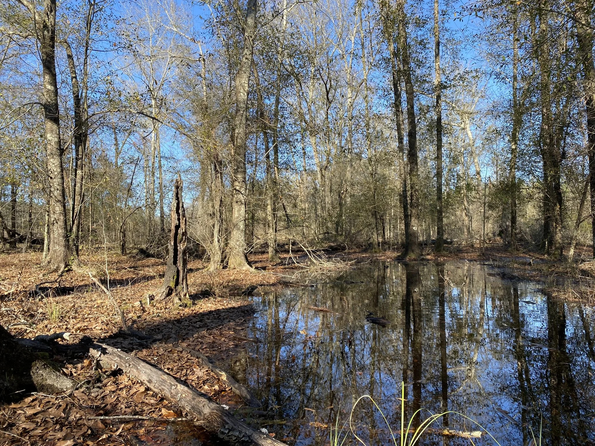 Henley Land Brokerage, LLC