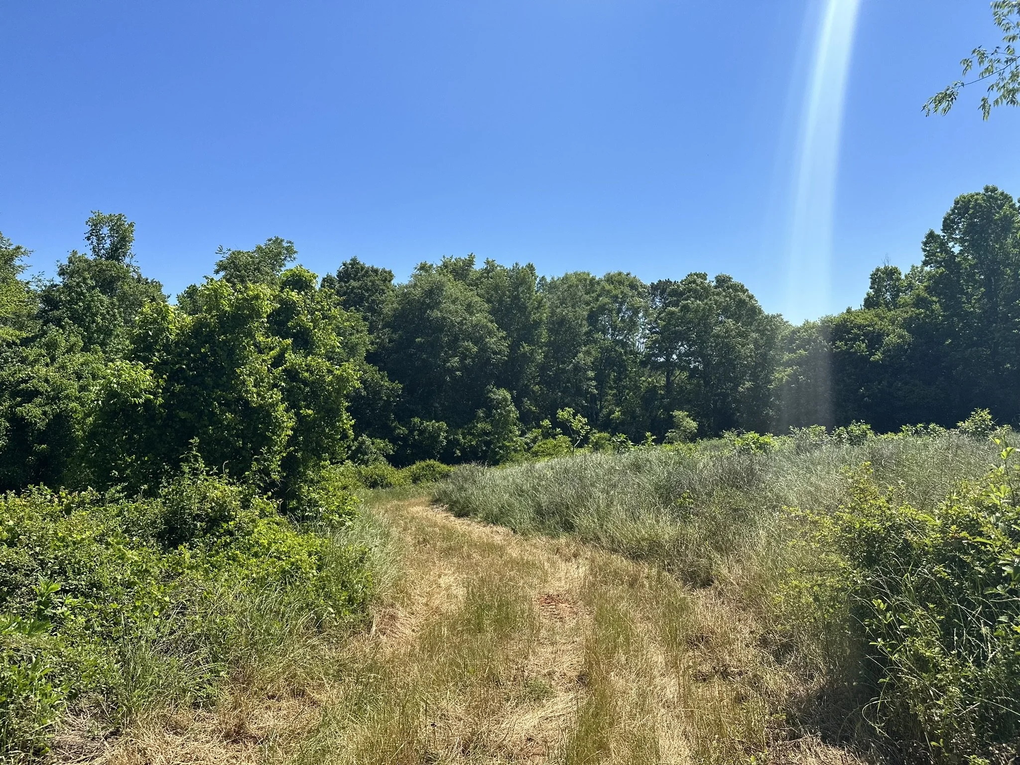 Henley Land Brokerage, LLC