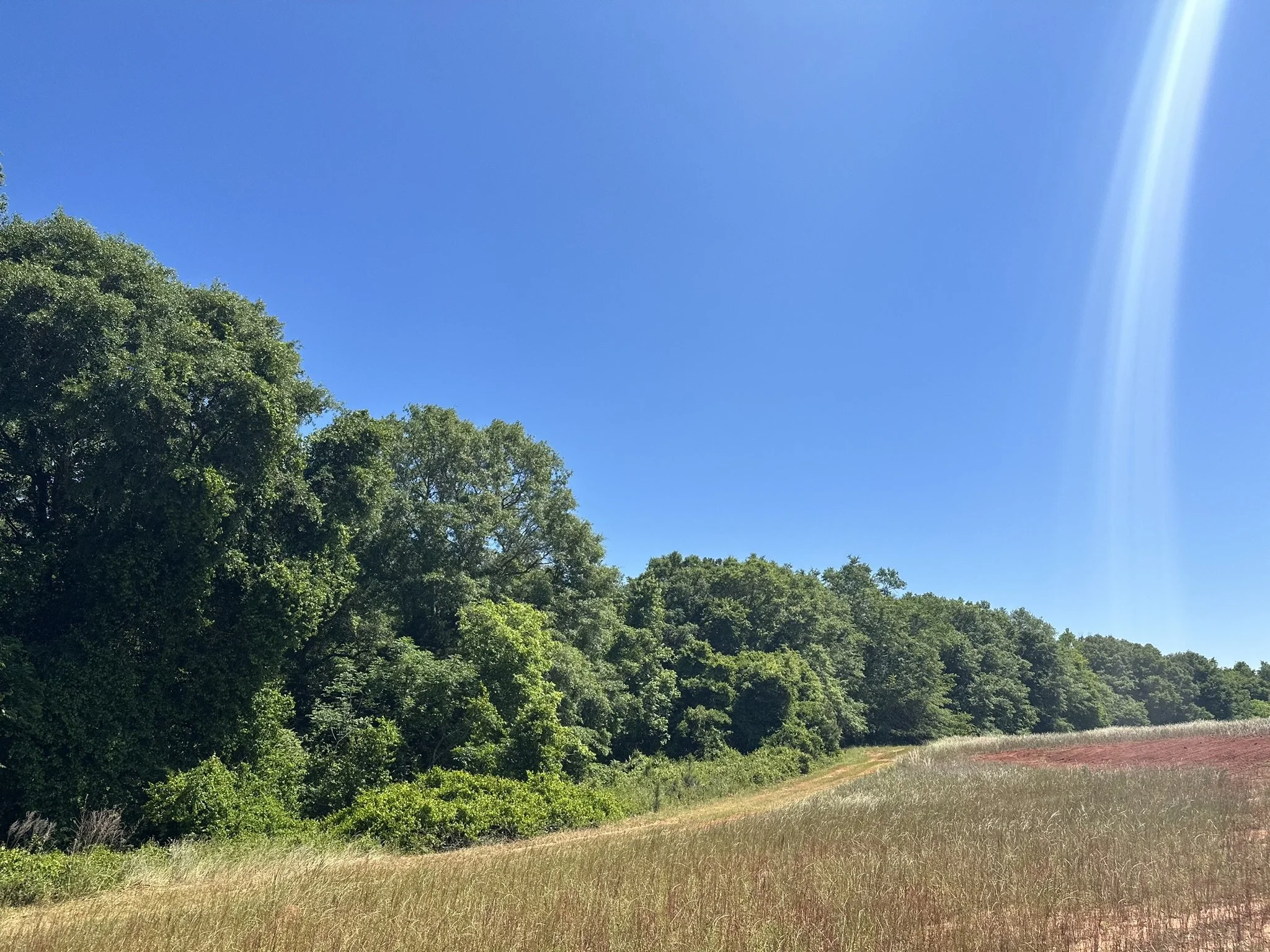 Sumter 103 Adam Henley — Henley Land Brokerage, LLC