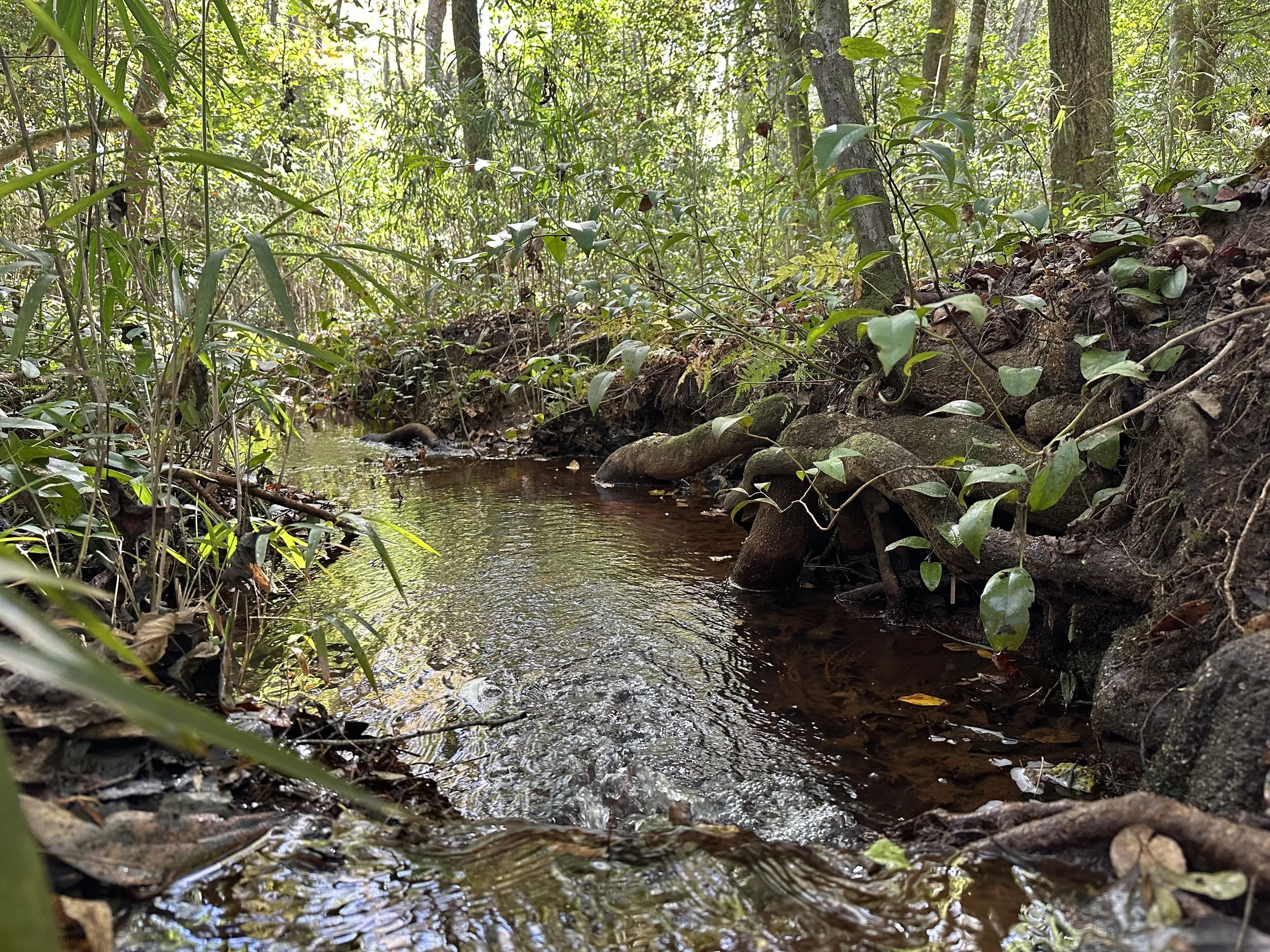 Henley Land Brokerage, LLC