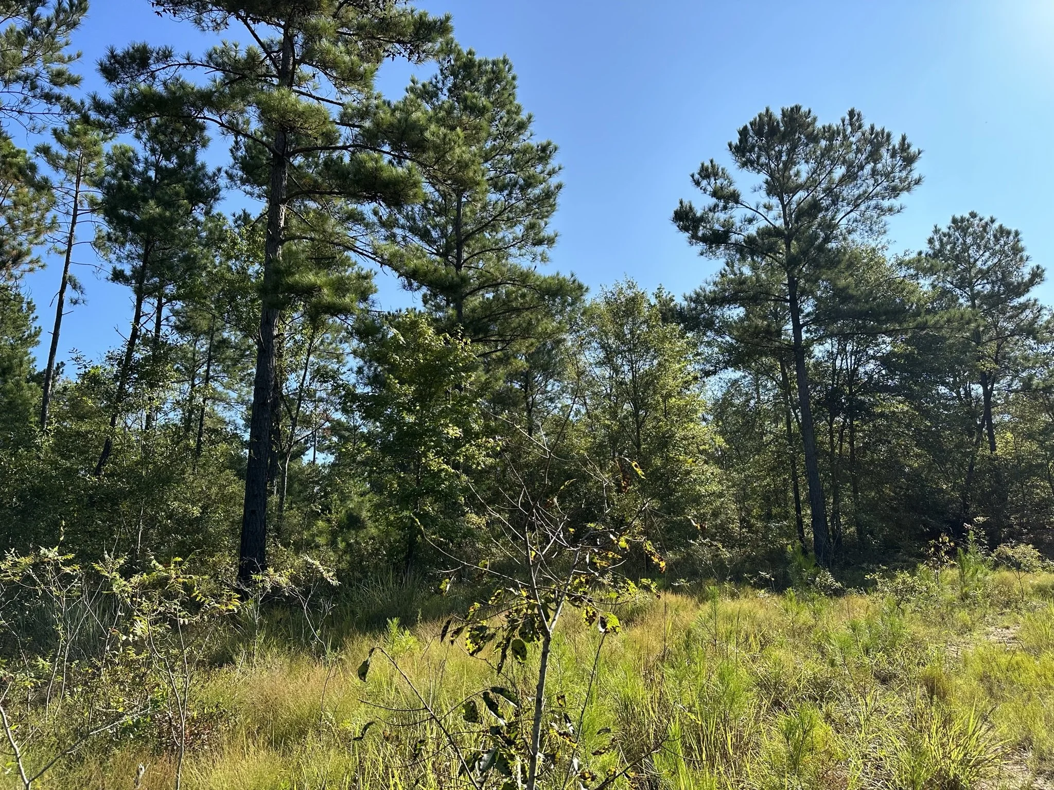 Henley Land Brokerage, LLC