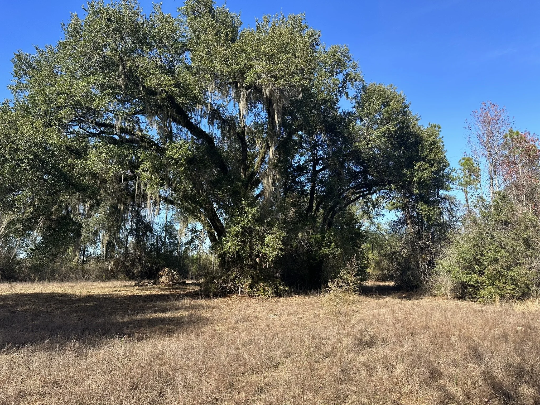 Henley Land Brokerage, LLC