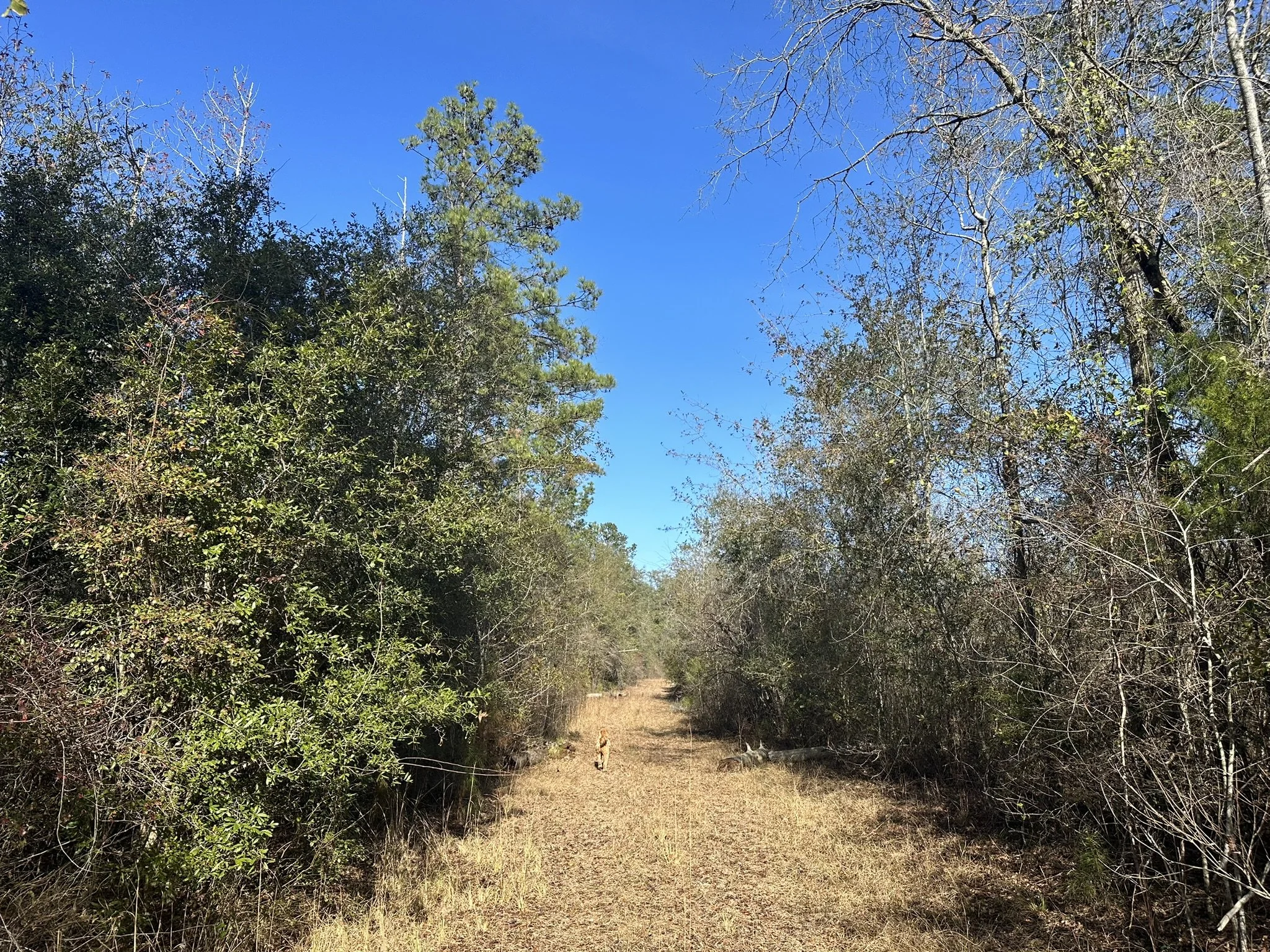 Henley Land Brokerage, LLC