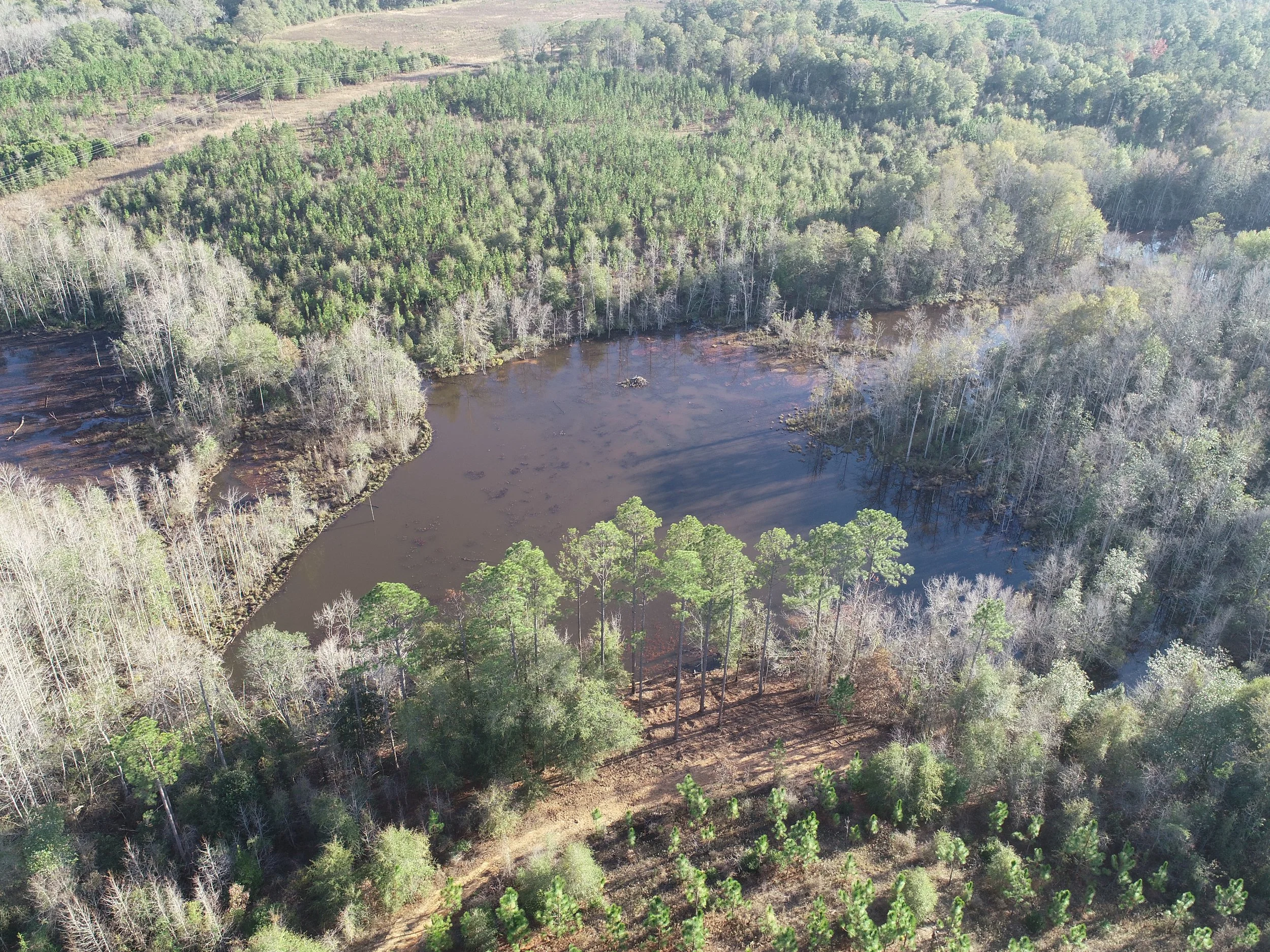 DJI_0010.JPG