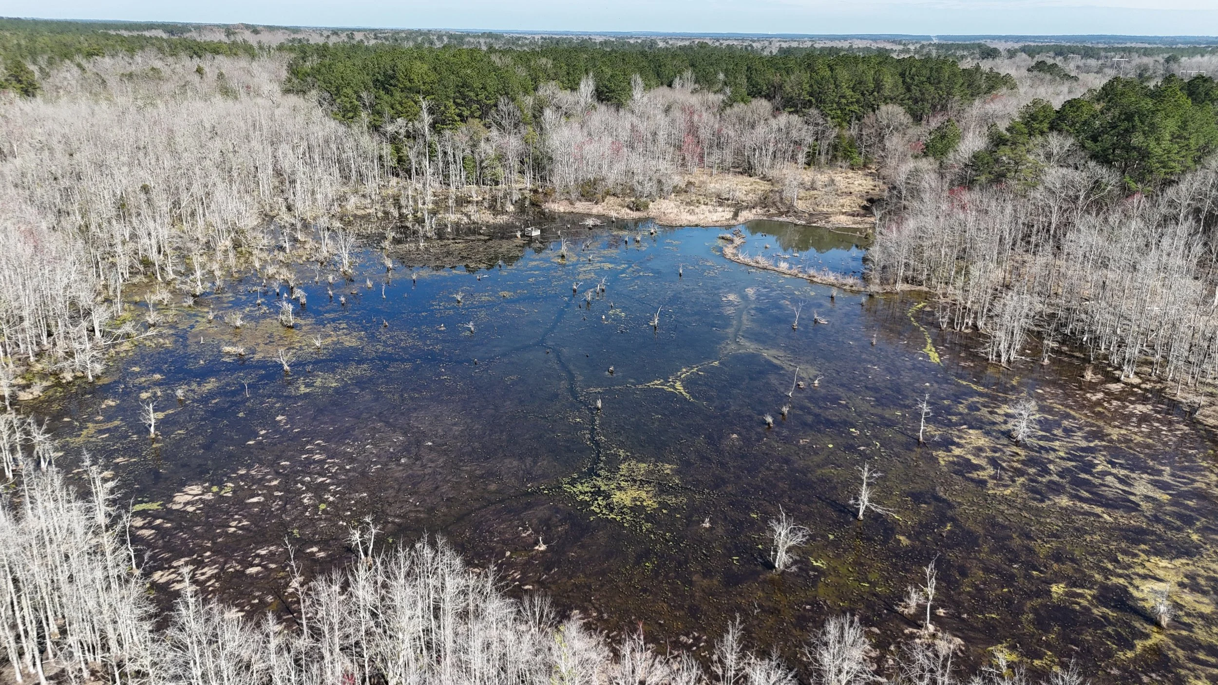 dji_fly_20250303_150000_0164_1741046873921_photo.jpg