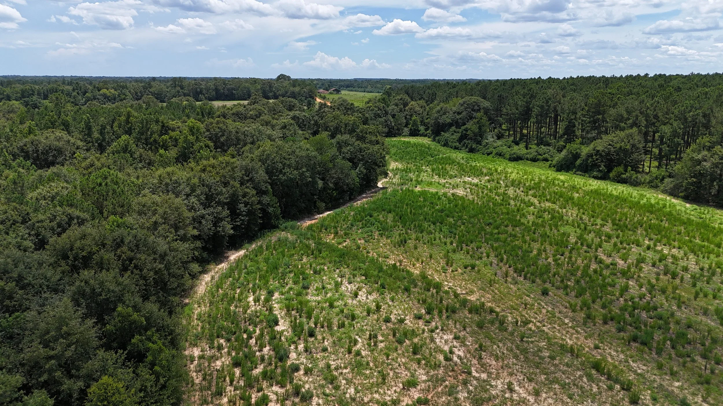 dji_fly_20250711_145646_0253_1752504752048_photo.jpg