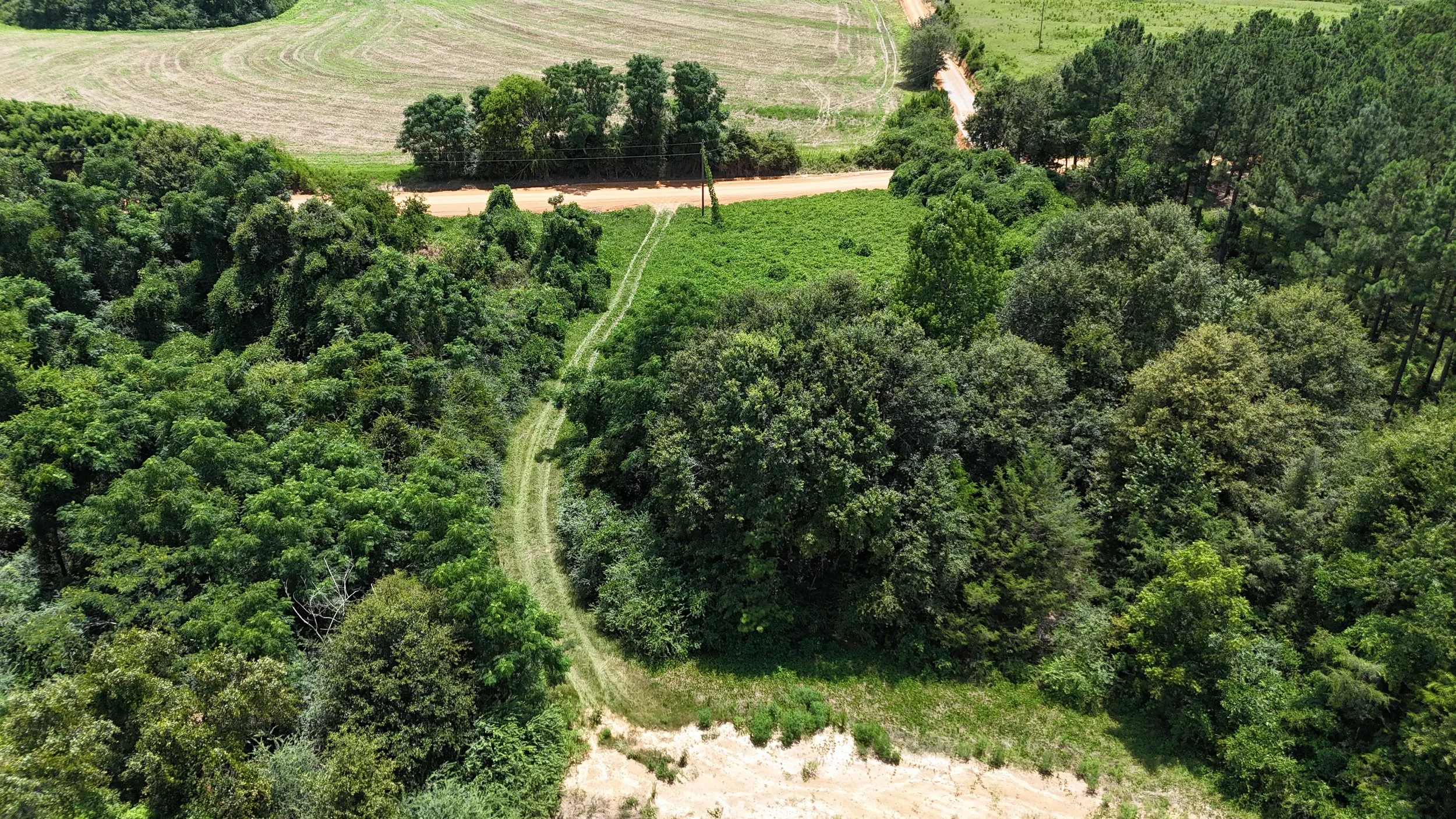 dji_fly_20250711_145714_0254_1752504752445_photo.jpg