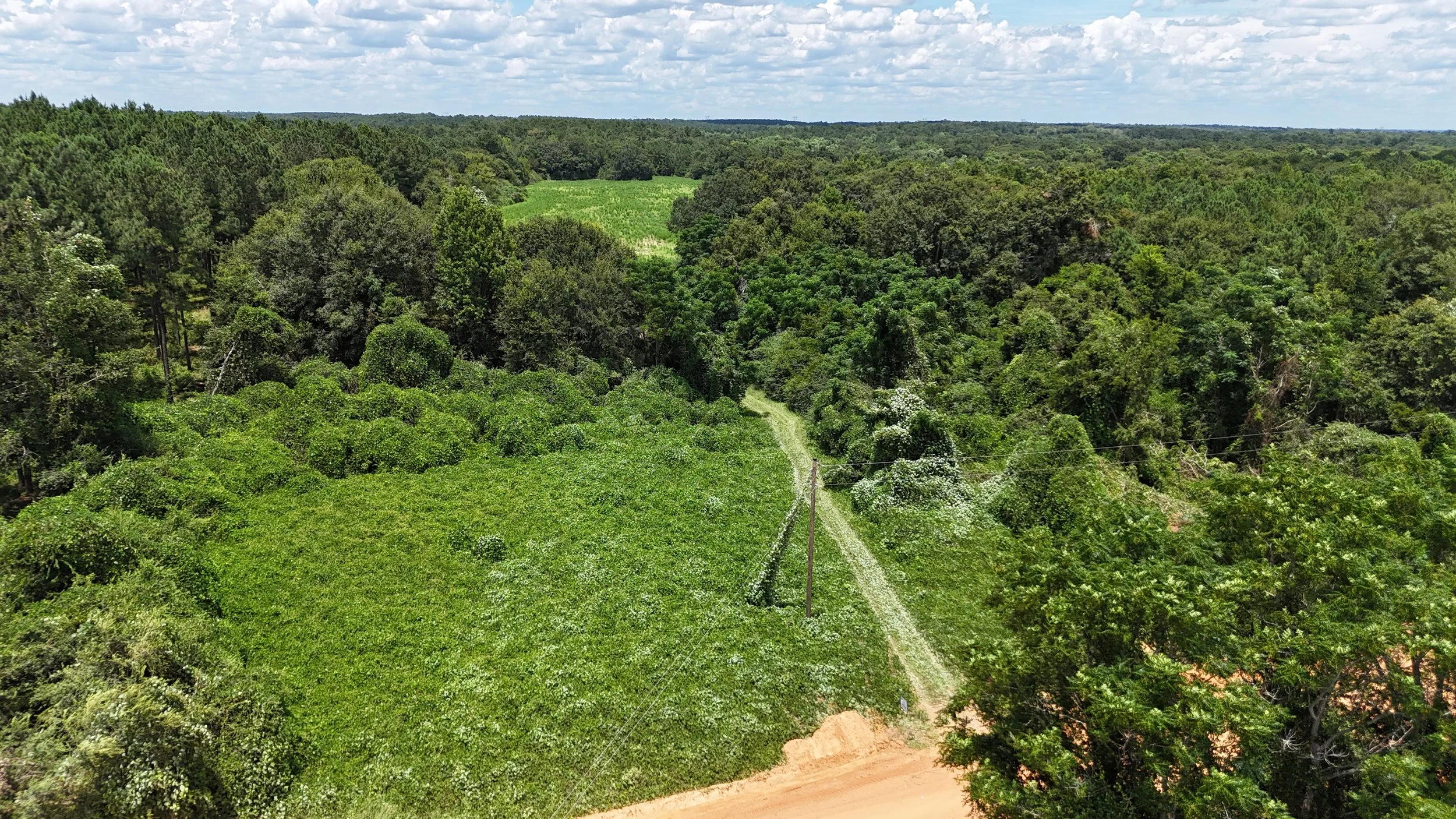 dji_fly_20250711_145750_0256_1752504750953_photo.jpg