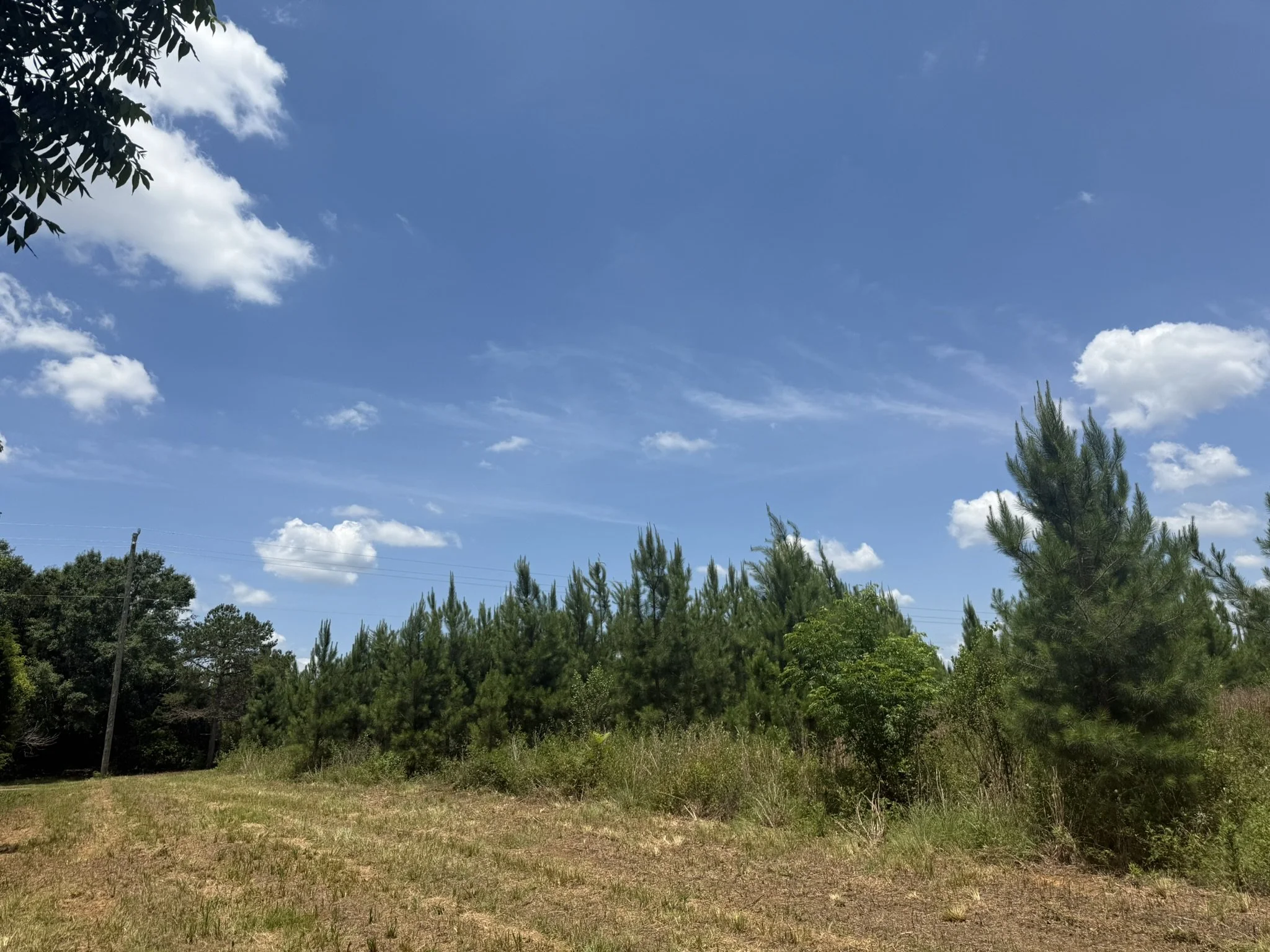 IMG_7872.JPEG