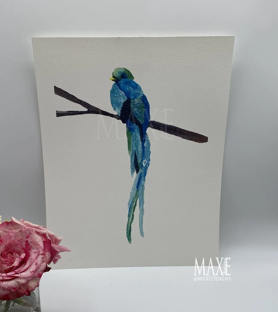 Blue Parrot MAXE.jpg
