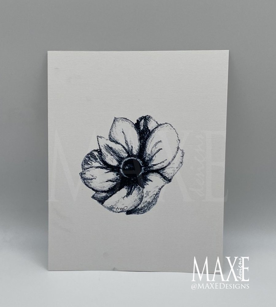Anenome MAXE.jpg