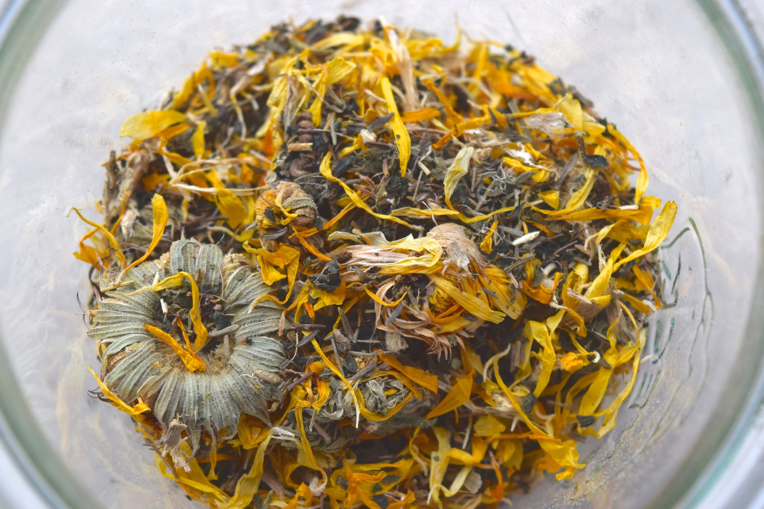 Cystitis Herbs and Home Remedies