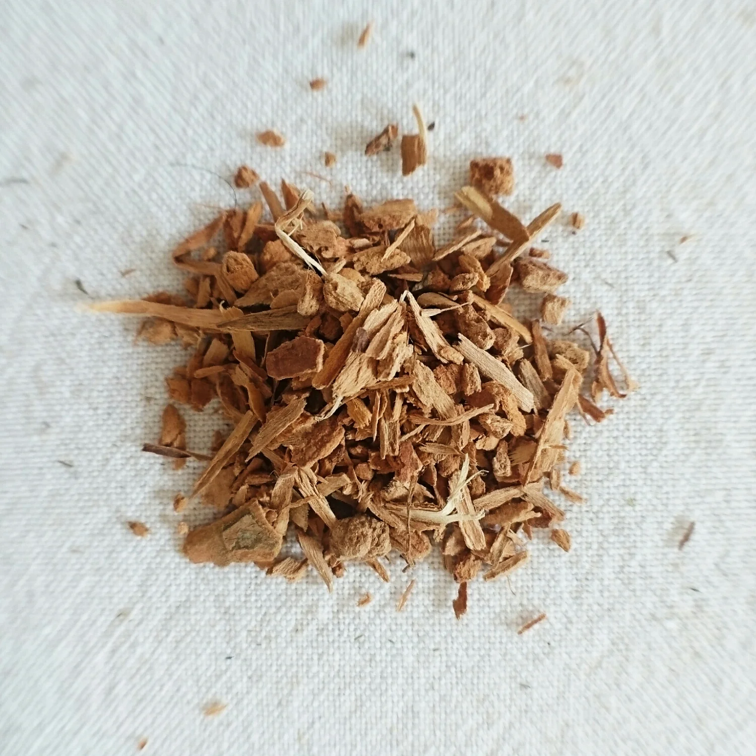 Cinnamon (Cinnamomum zeylanica) 