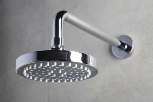 Hotel Shower Head_jpg.jpg