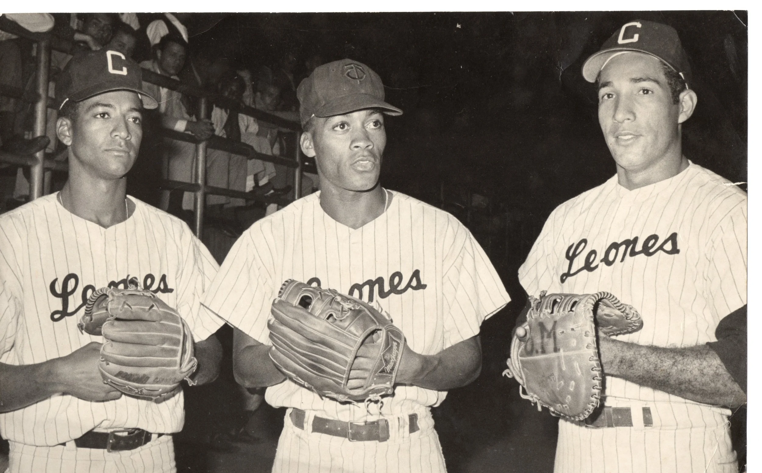 Resultado de imagen de damaso blanco