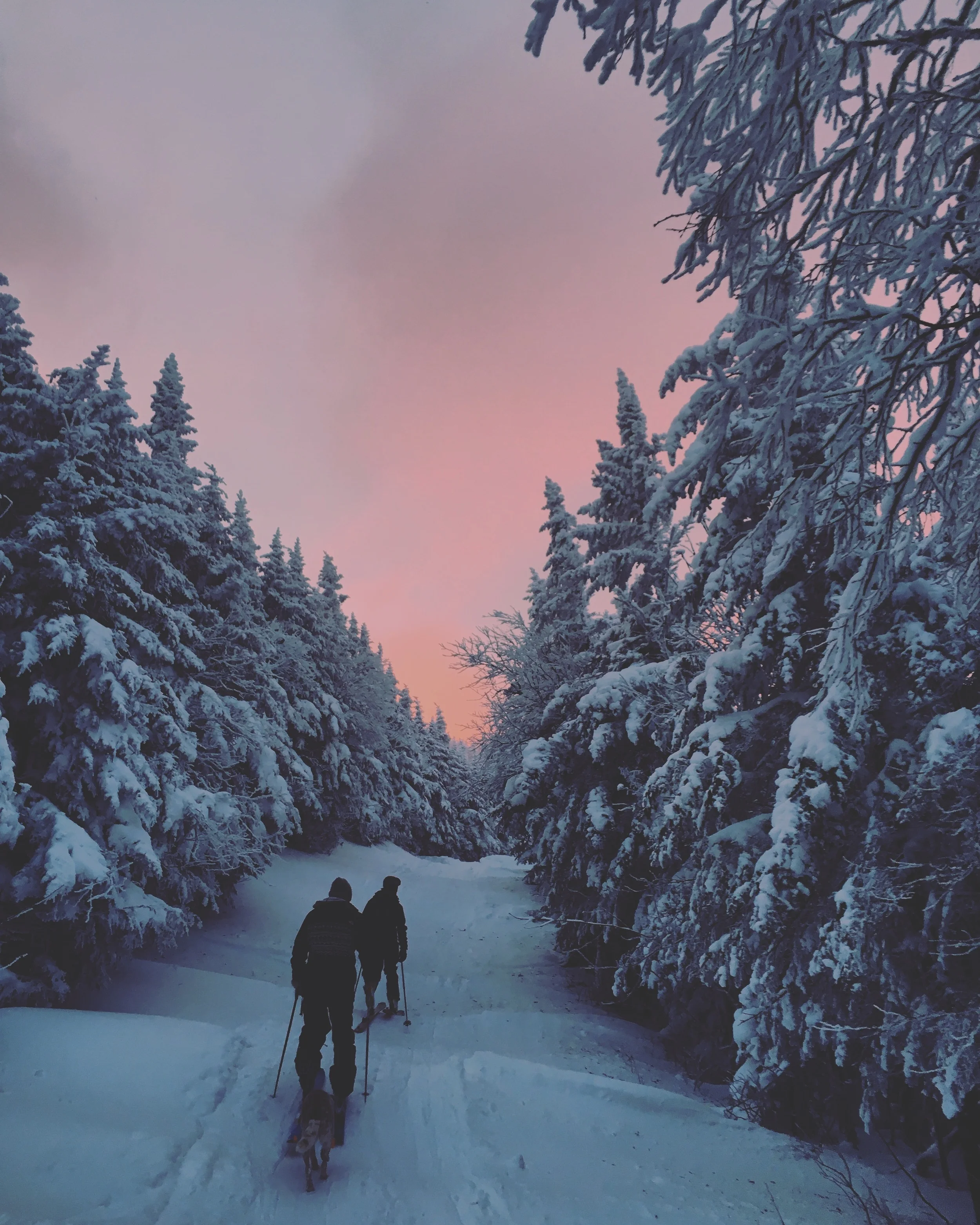 sunrise wilderness ski // bolton valley, vt