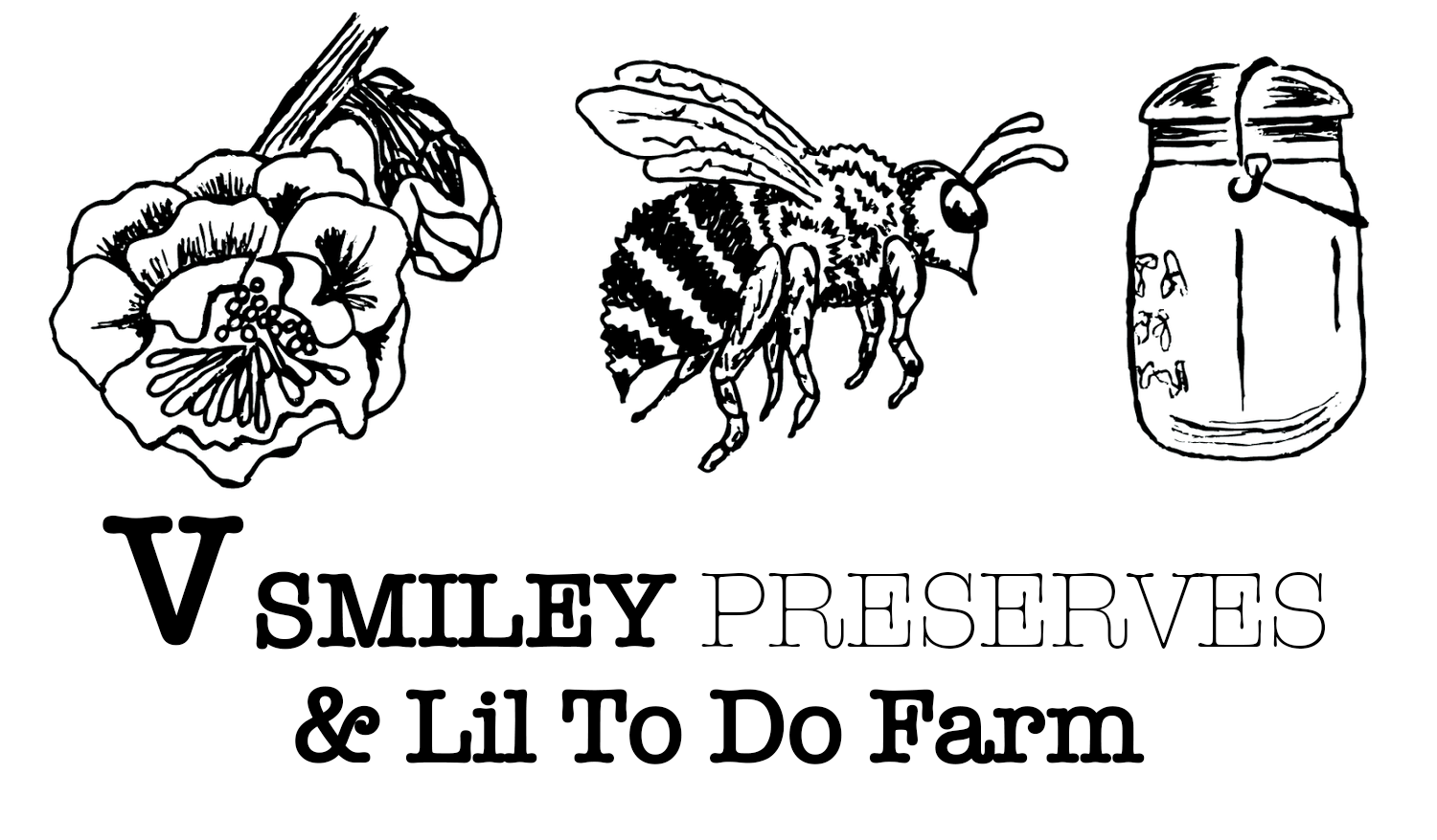 V Smiley Preserves Logo