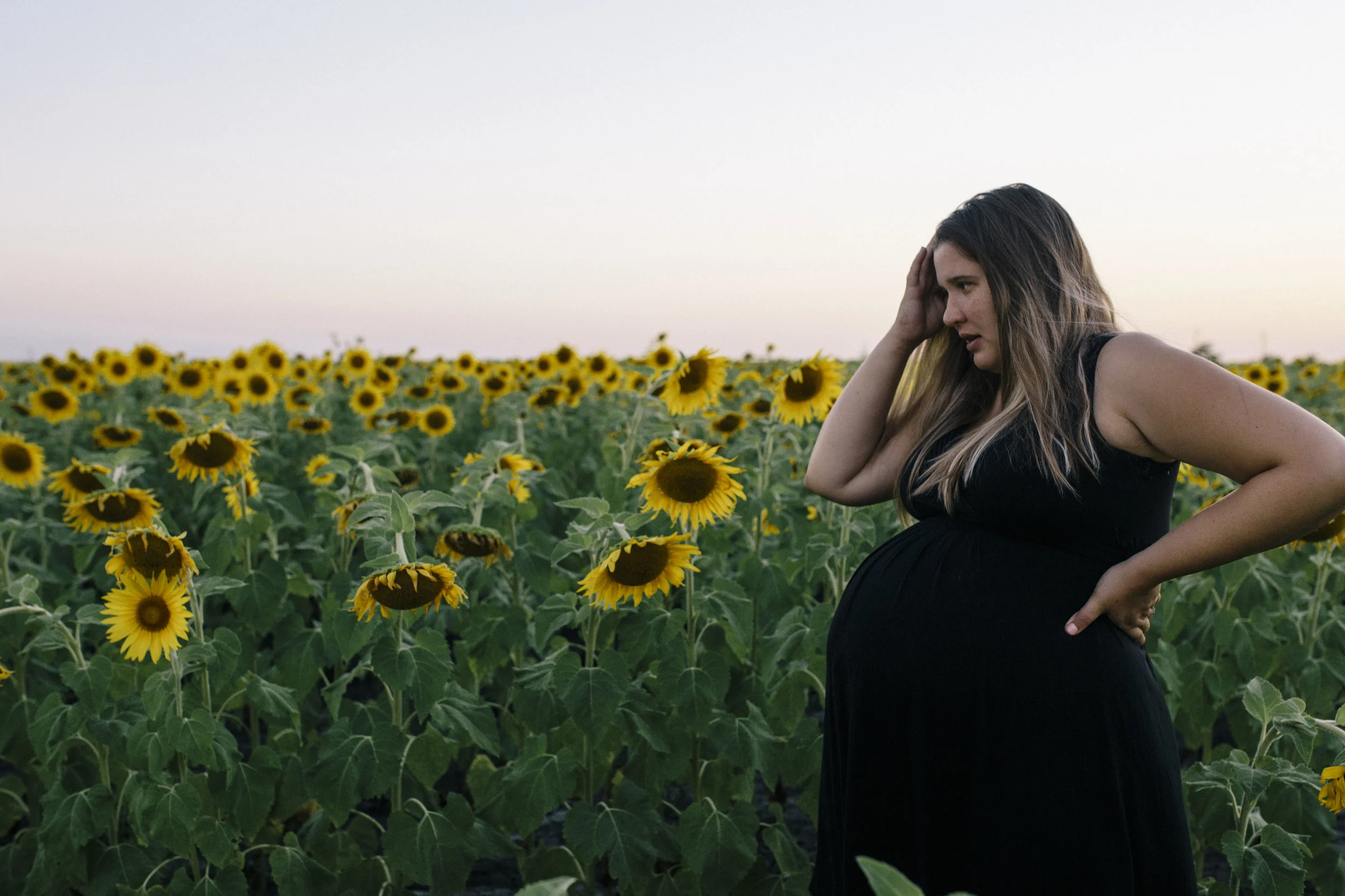 sunflowers (4 of 8).jpg