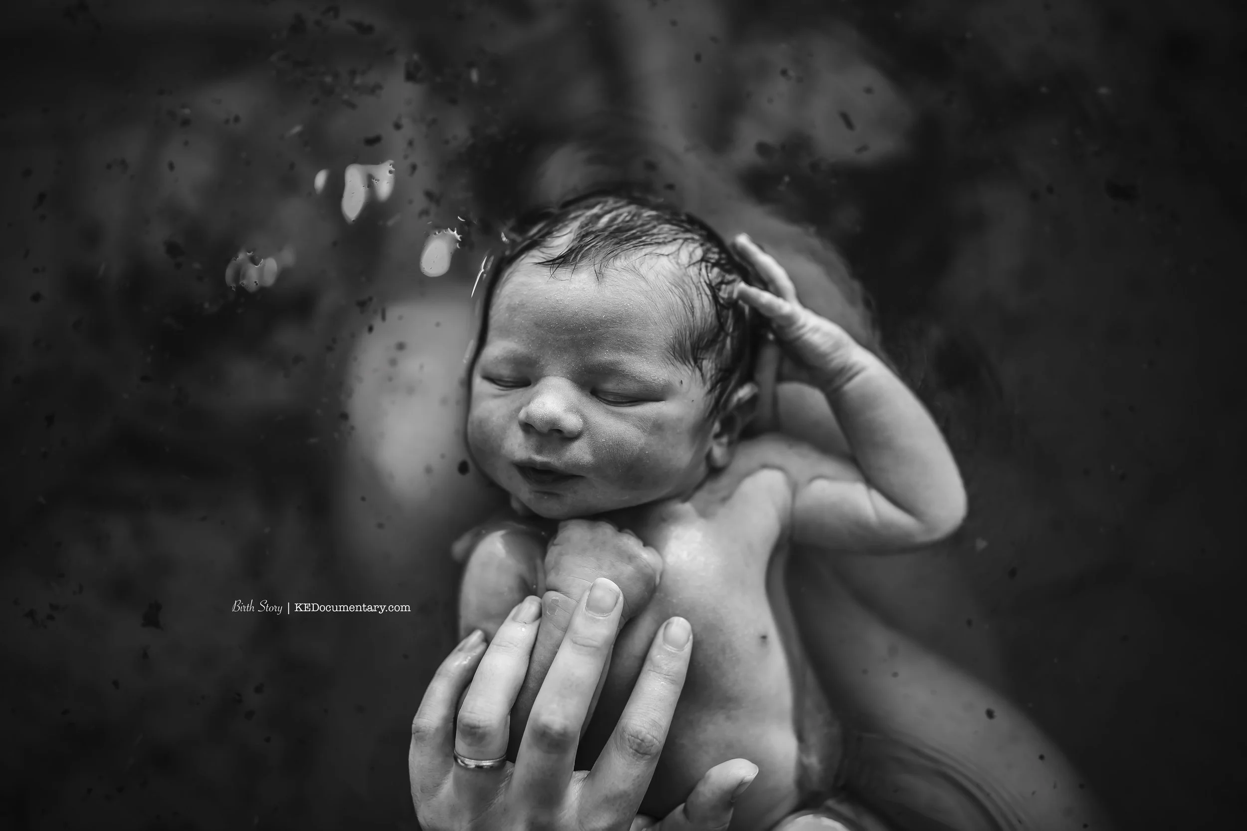 newborn photography in fort worth