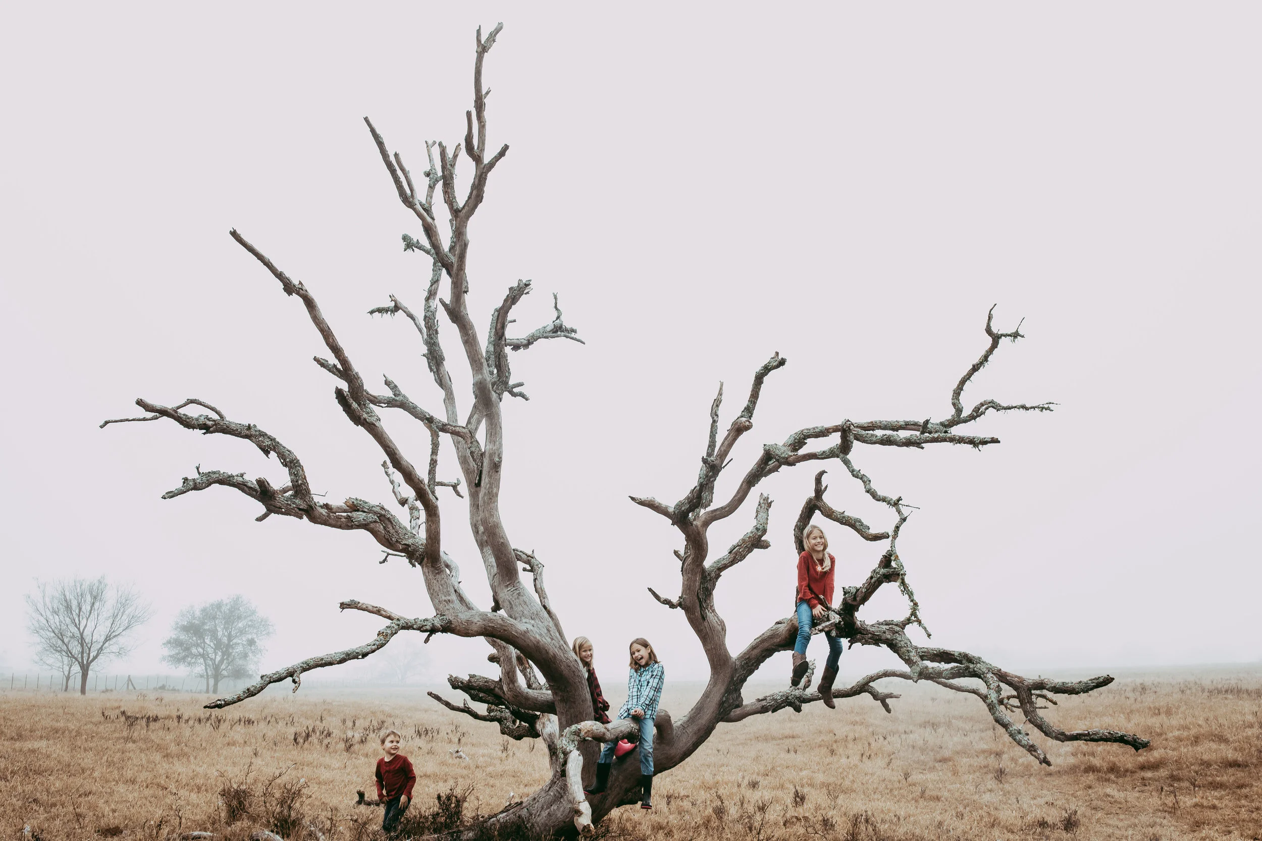 Documentary Family Photography Dallas Texas