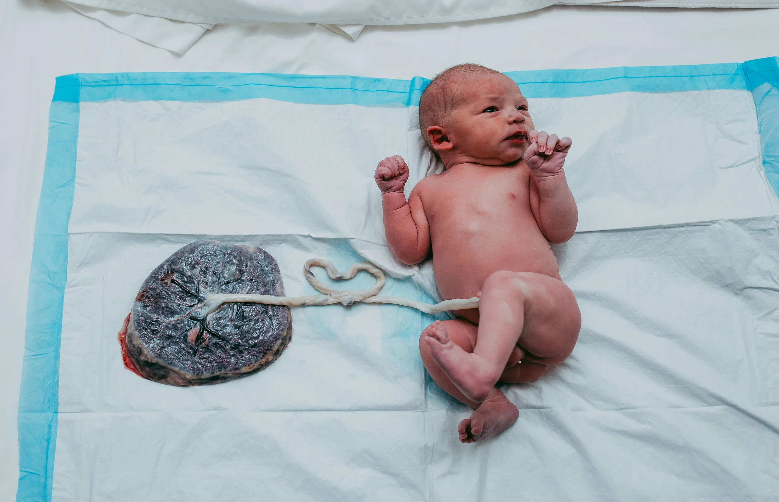 baby and placenta