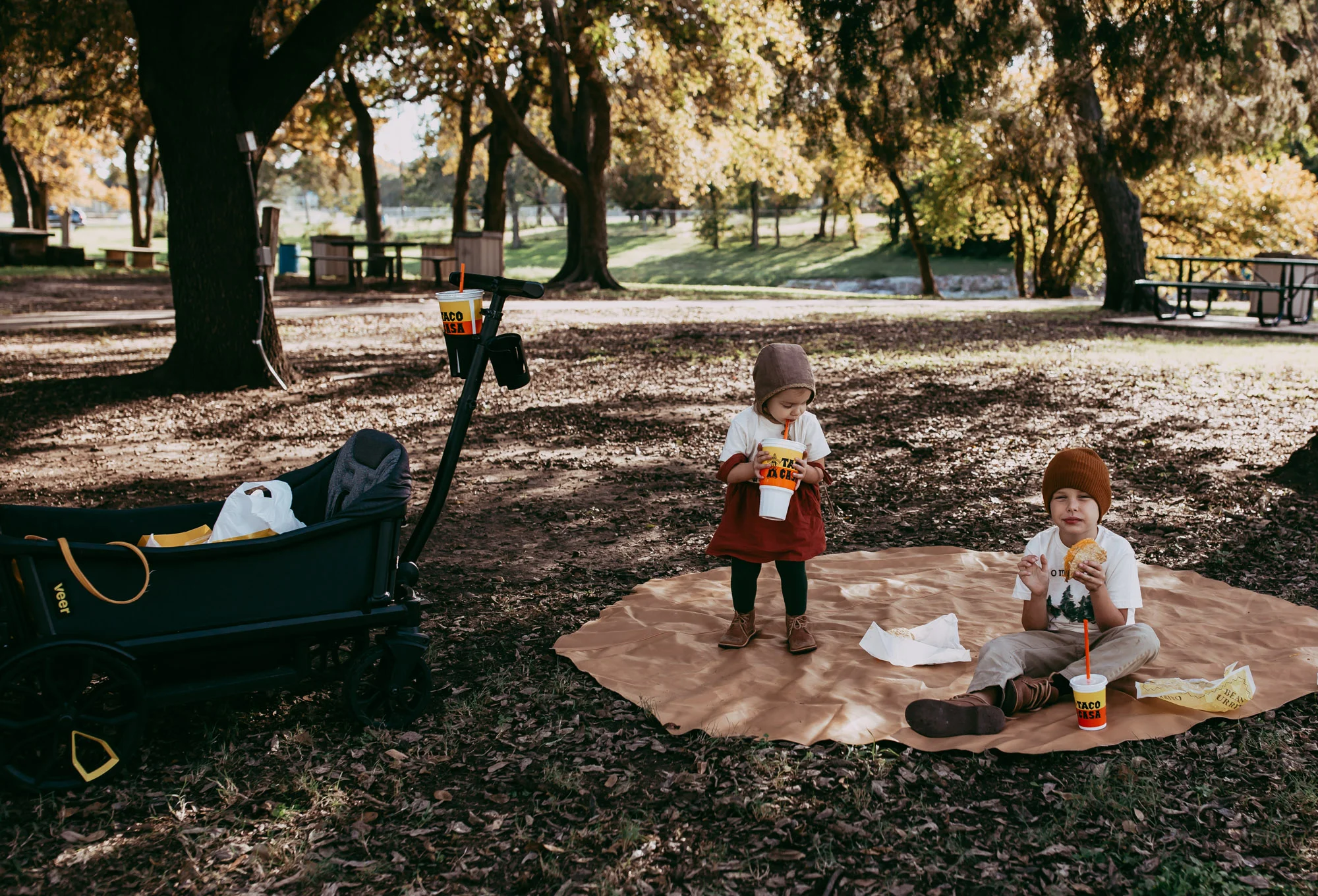 picnic in the park